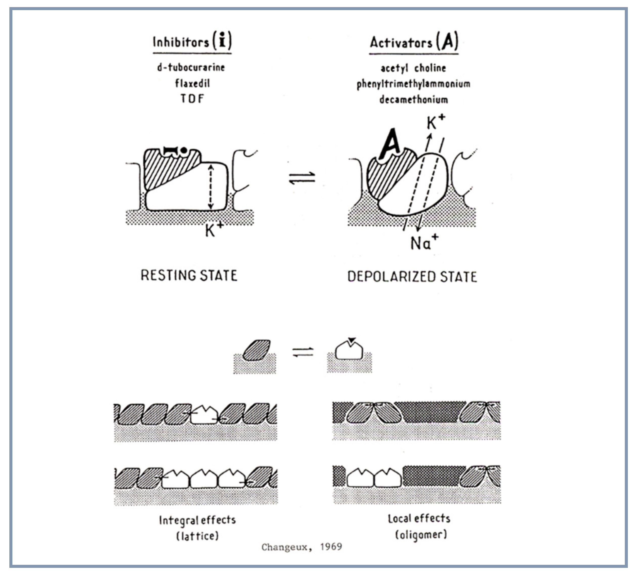 Biomolecules 10 00547 g001 Biomolecules 10 00547 g001