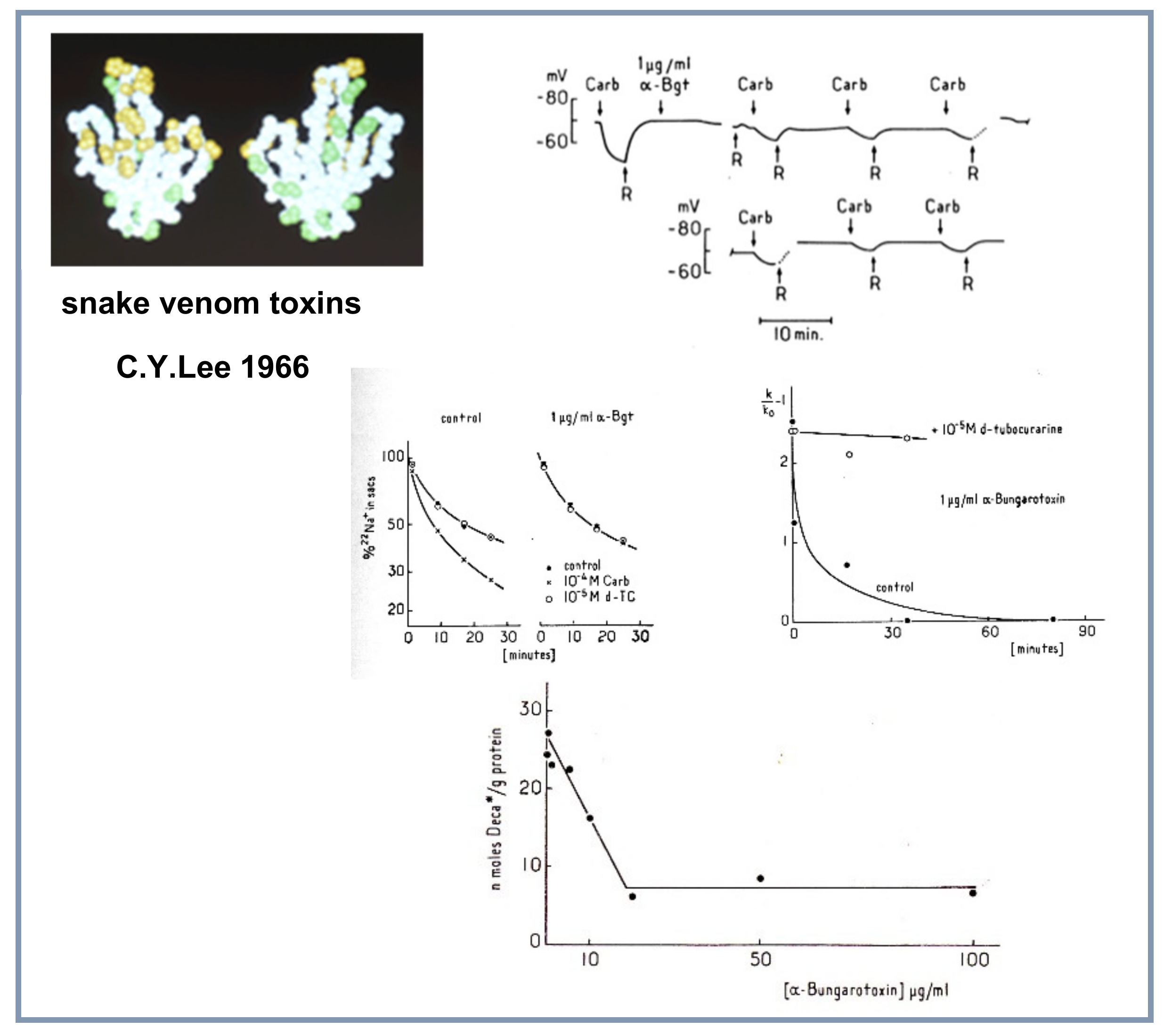 Biomolecules 10 00547 g006 Biomolecules 10 00547 g006