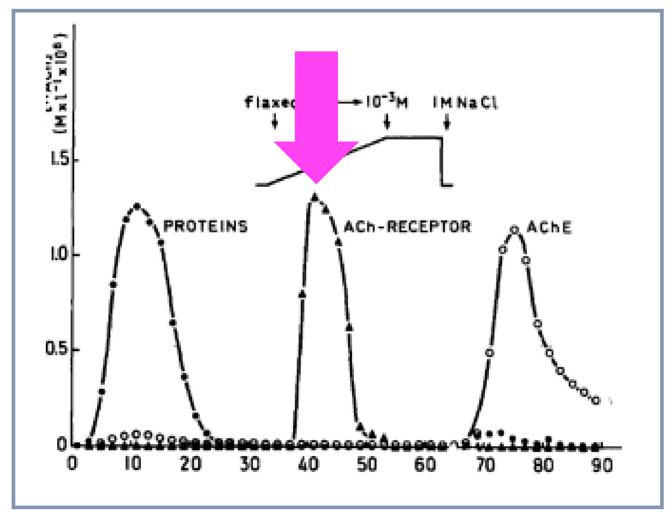 Biomolecules 10 00547 g007 Biomolecules 10 00547 g007