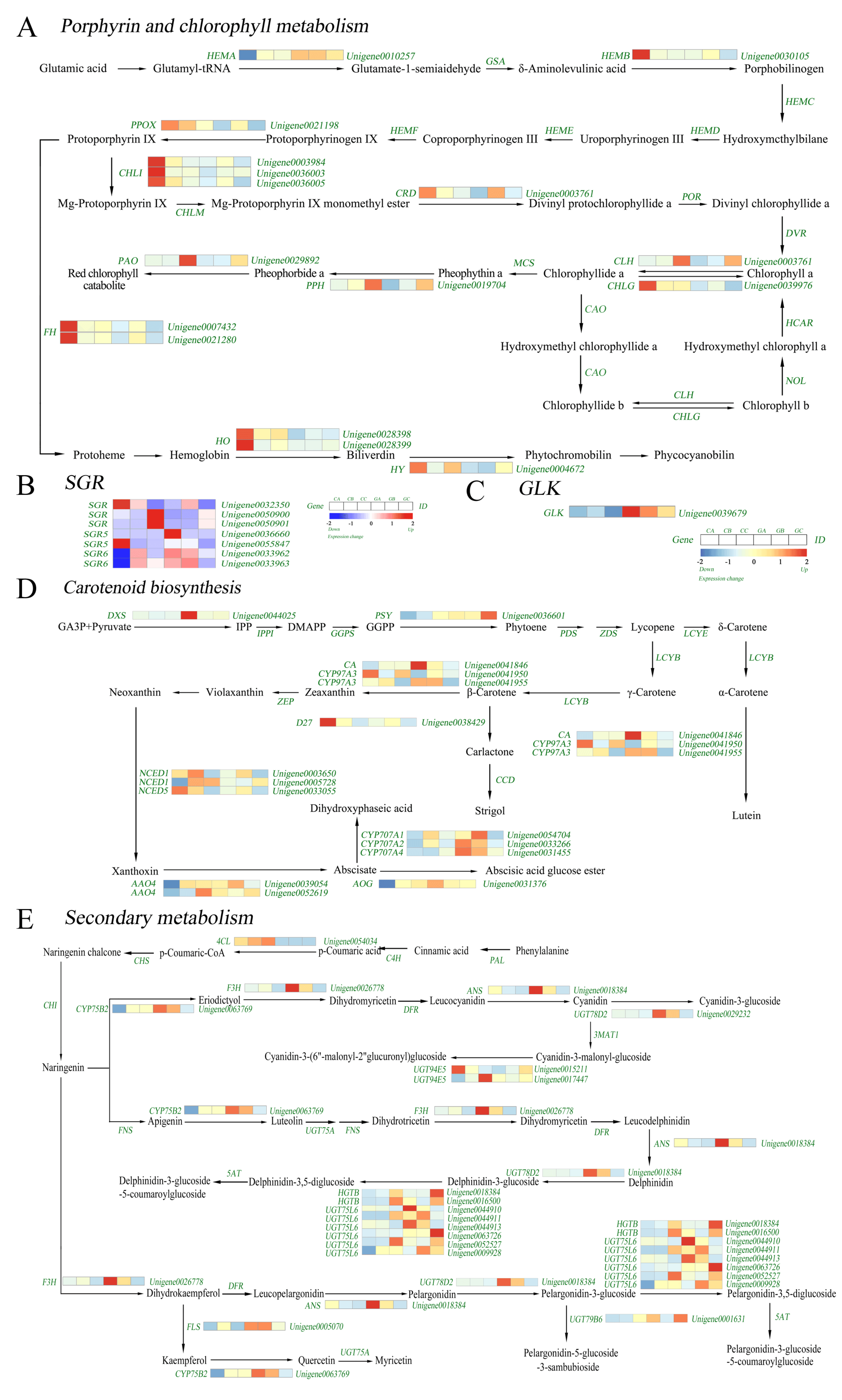 Biomolecules 10 00549 g005 Biomolecules 10 00549 g005