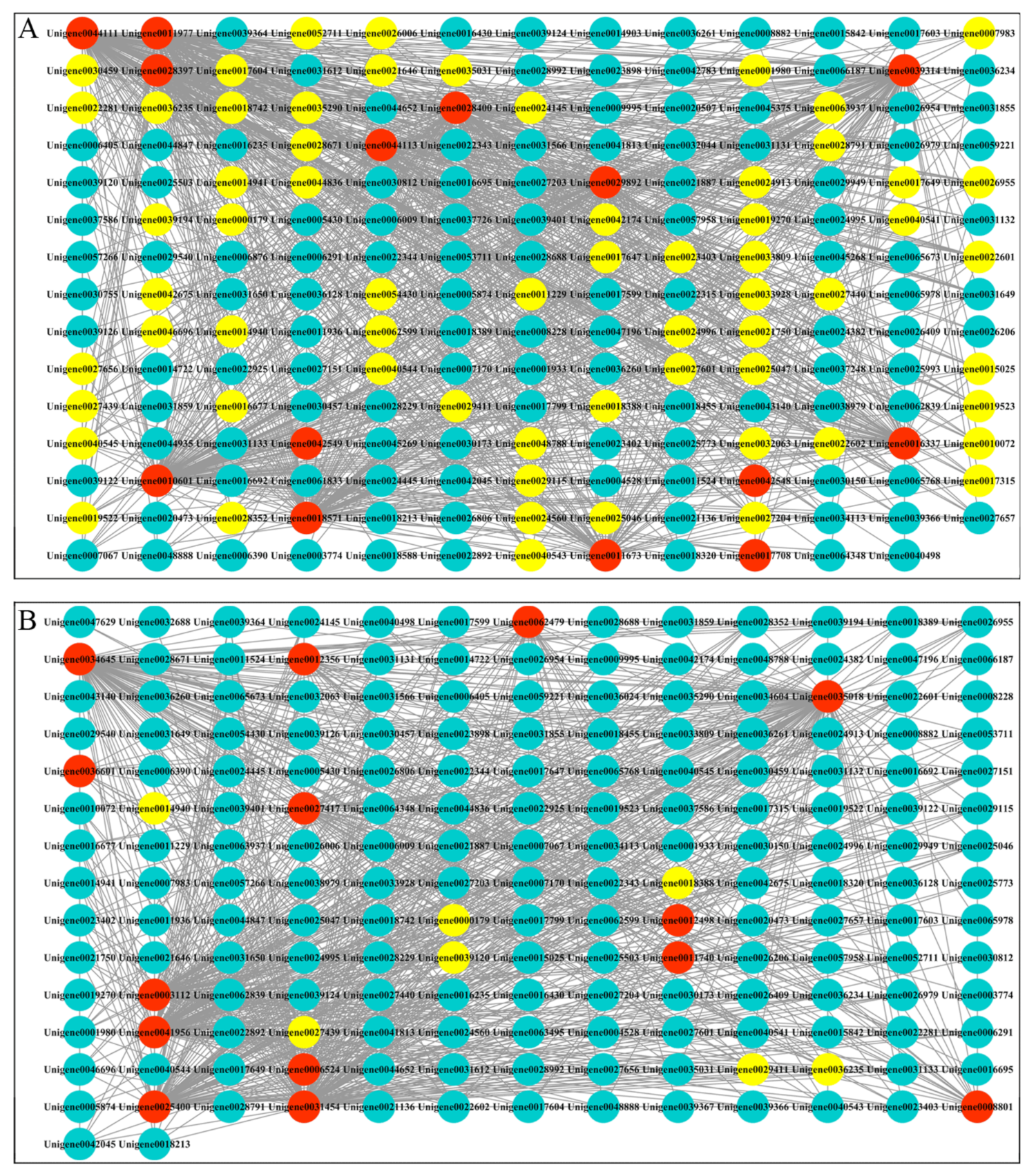 Biomolecules 10 00549 g008 Biomolecules 10 00549 g008