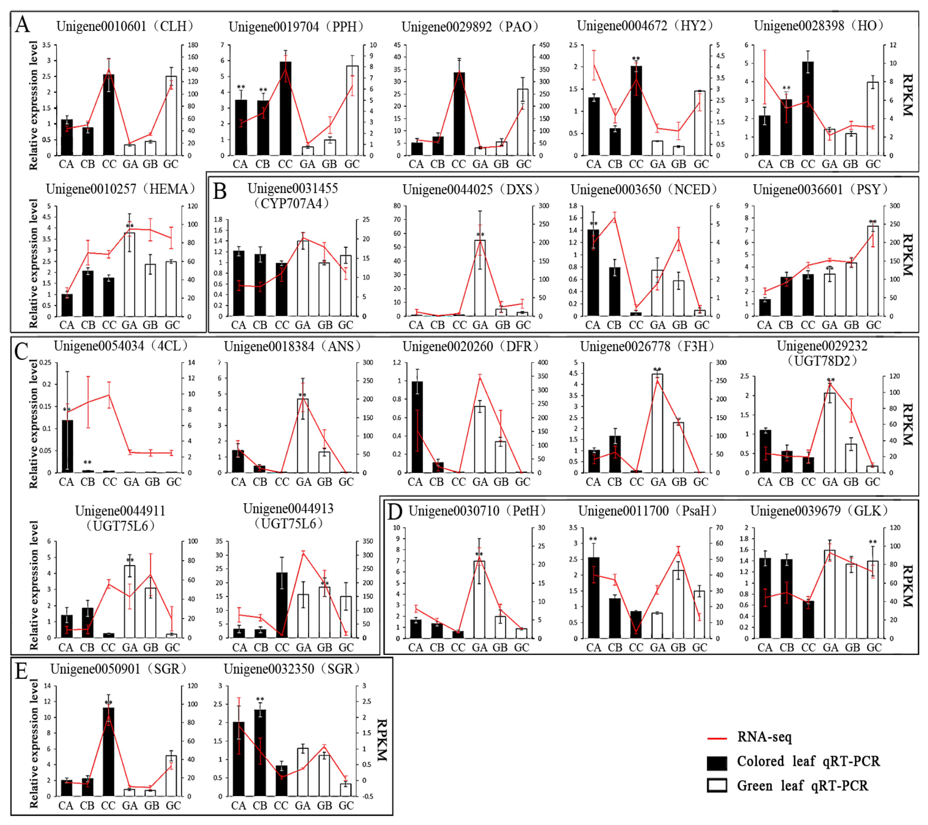 Biomolecules 10 00549 g009 Biomolecules 10 00549 g009