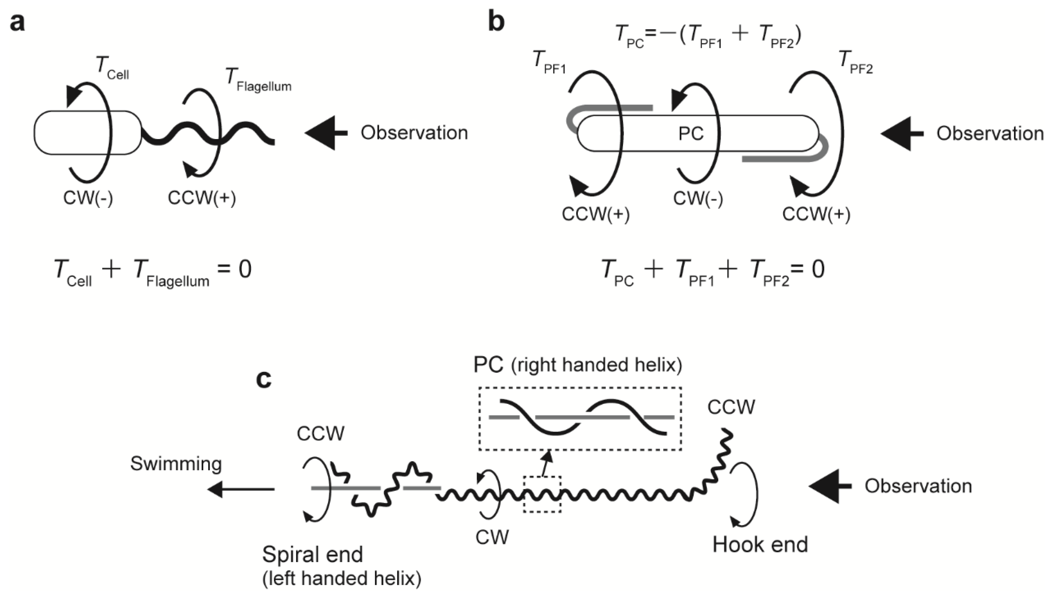 Biomolecules 10 00550 g002 Biomolecules 10 00550 g002