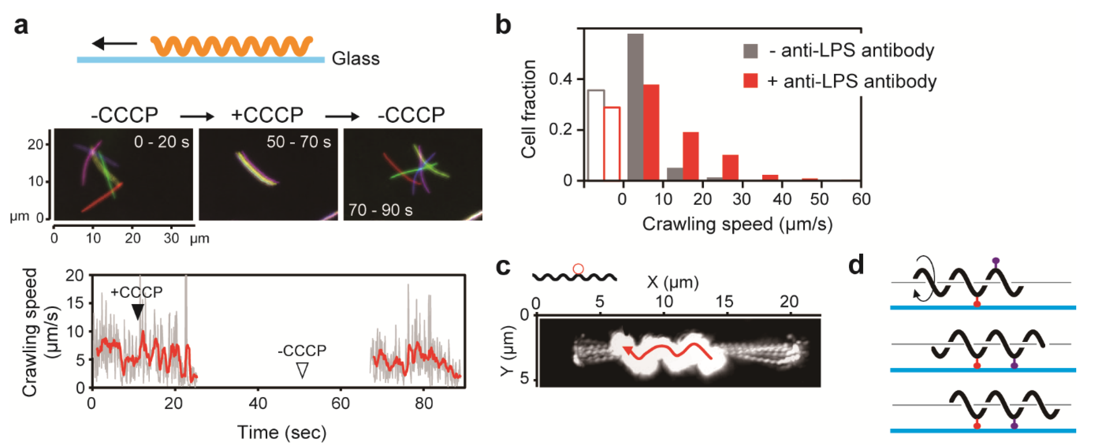 Biomolecules 10 00550 g005 Biomolecules 10 00550 g005