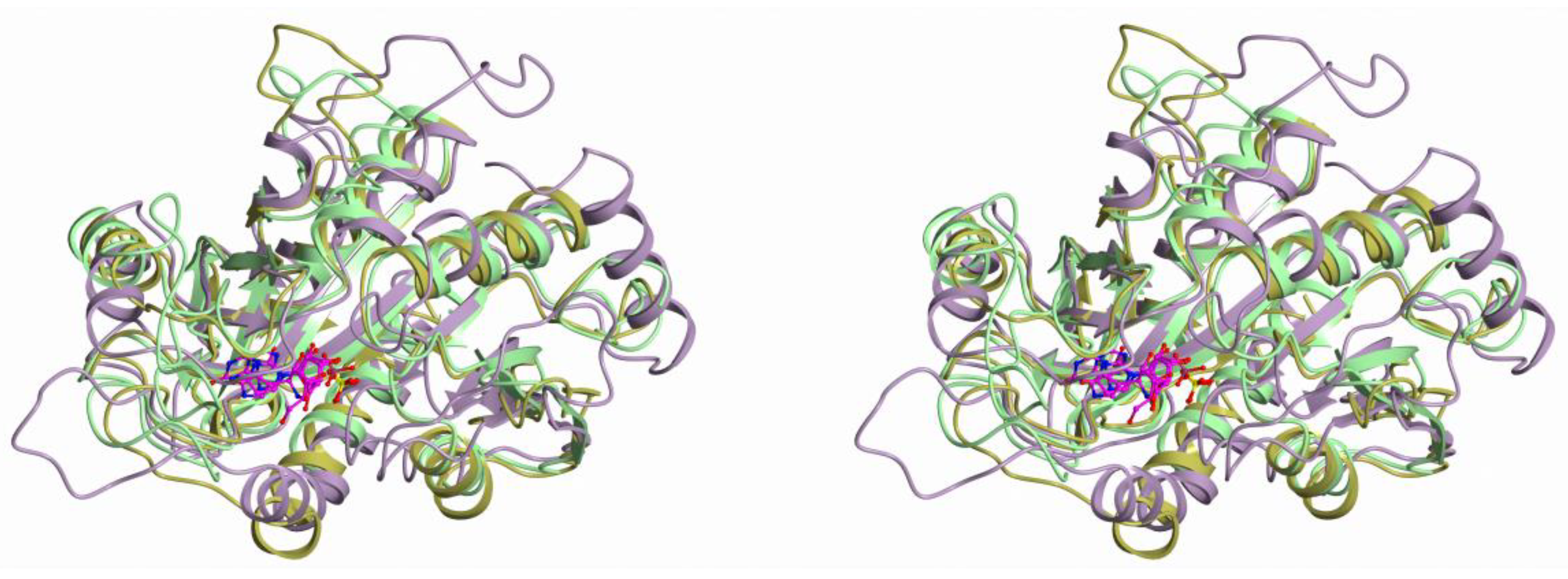 Biomolecules 10 00552 g001 Biomolecules 10 00552 g001