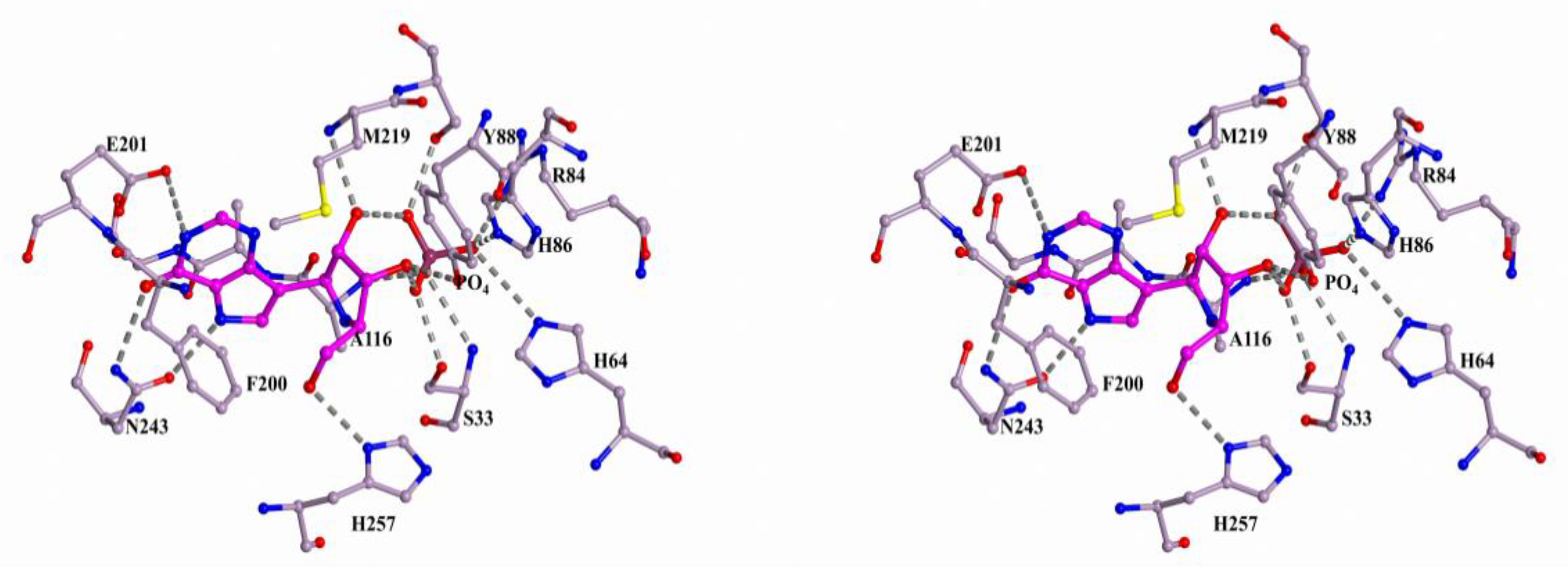 Biomolecules 10 00552 g004 Biomolecules 10 00552 g004