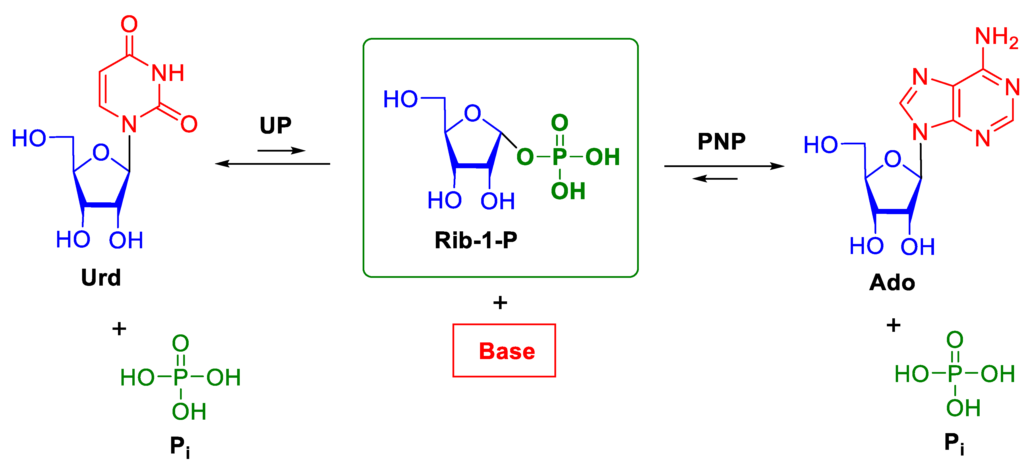 Biomolecules 10 00552 sch001 Biomolecules 10 00552 sch001