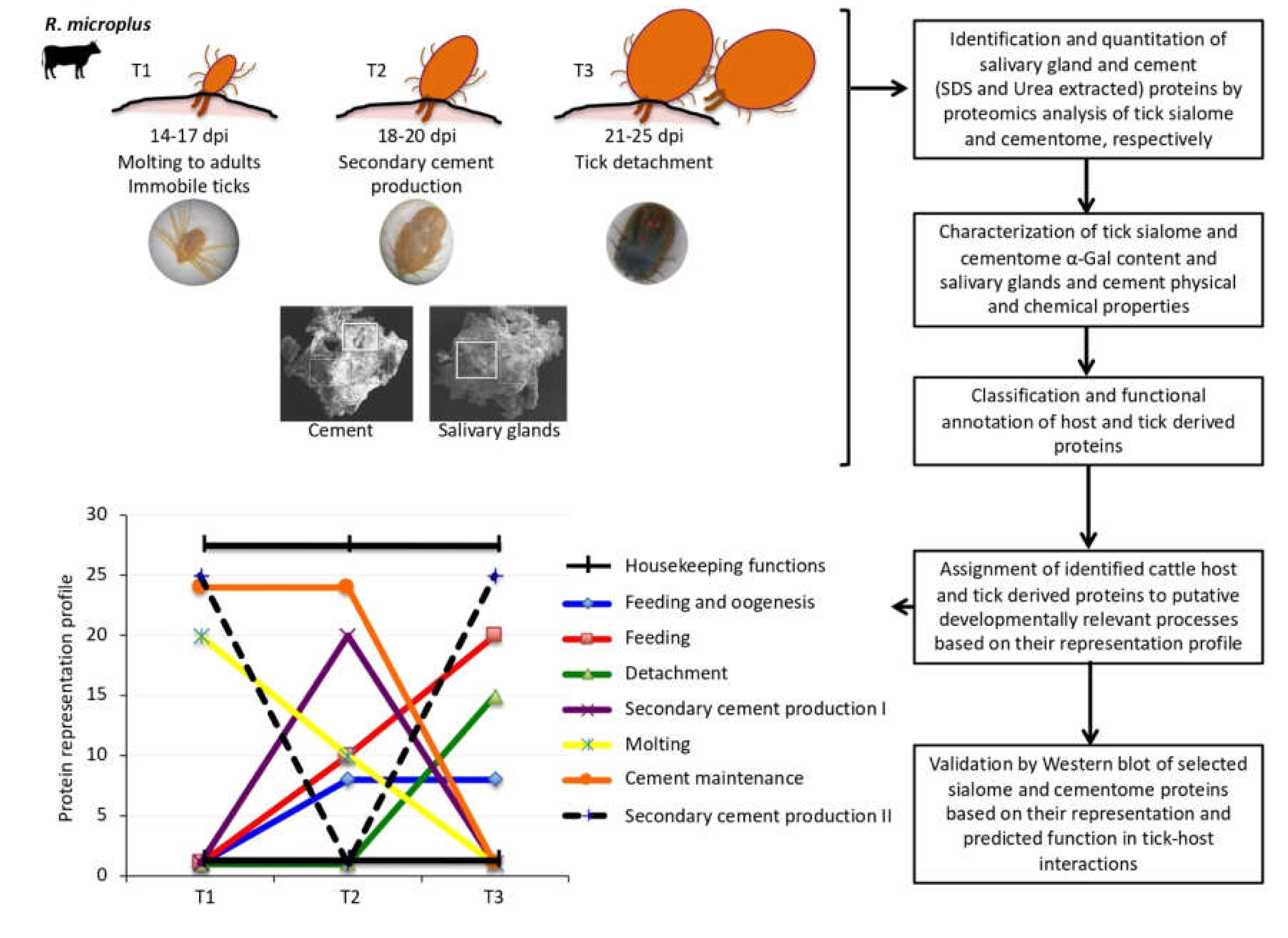 Biomolecules 10 00555 g001