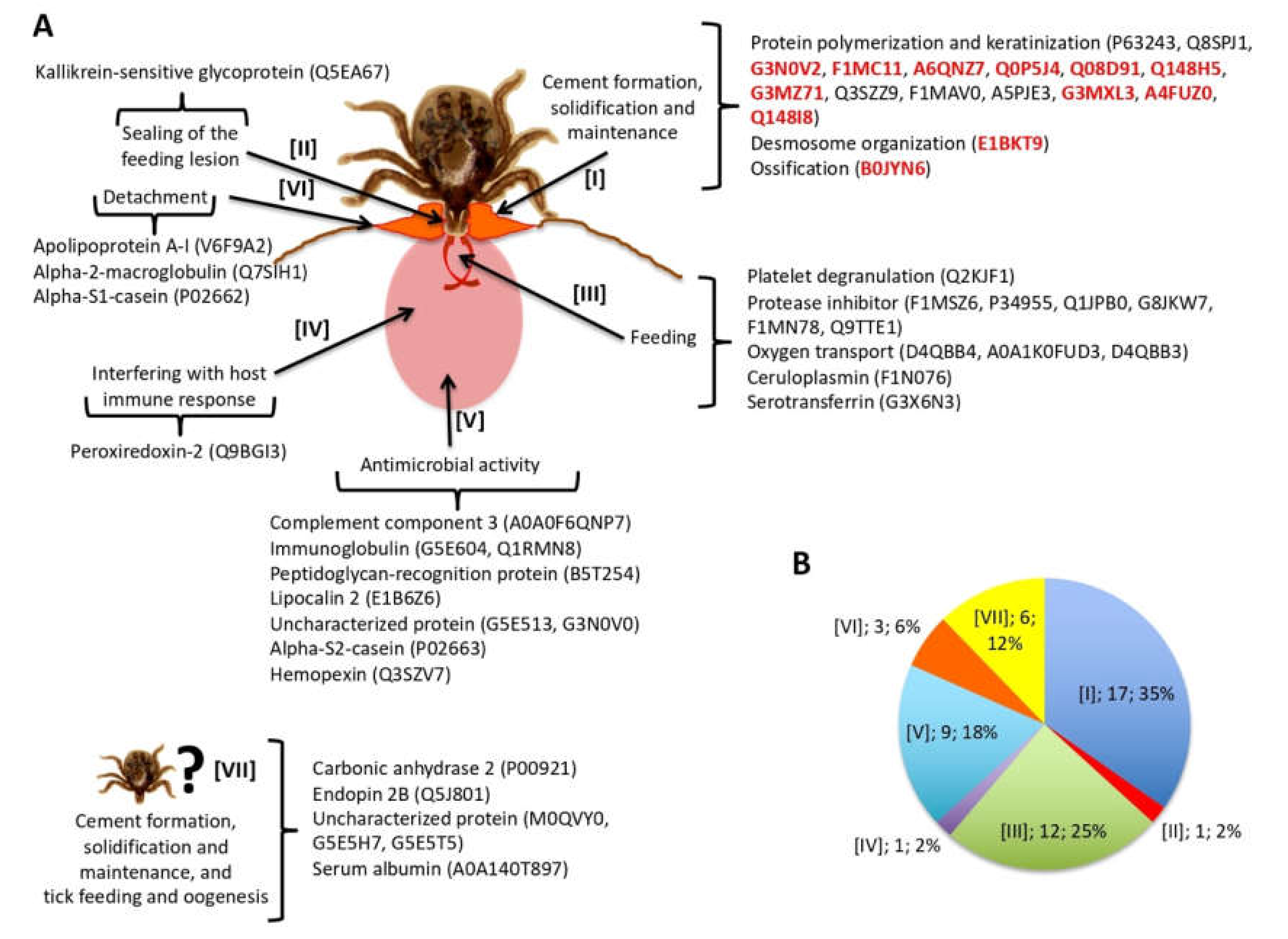 Biomolecules 10 00555 g005