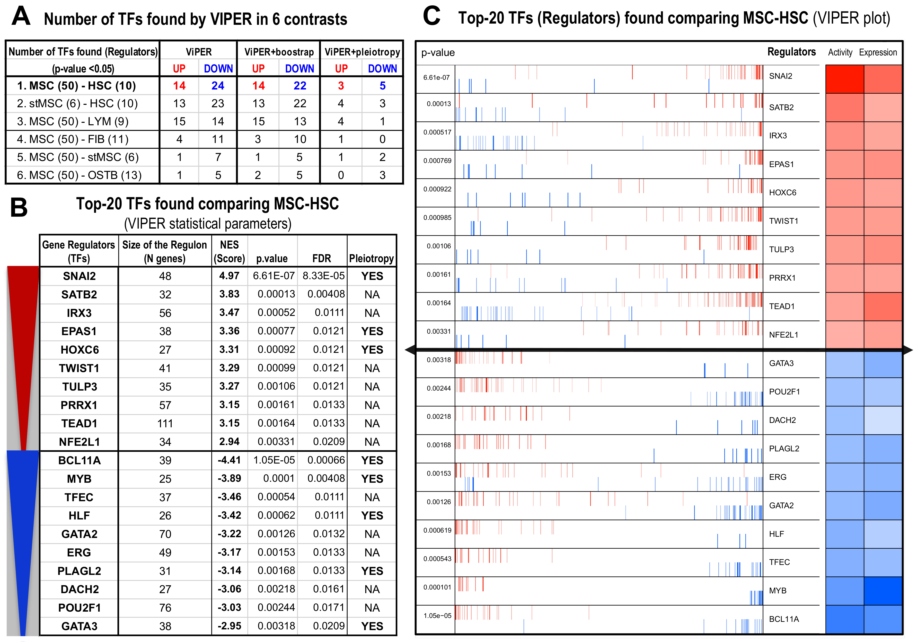 Biomolecules 10 00557 g002 Biomolecules 10 00557 g002