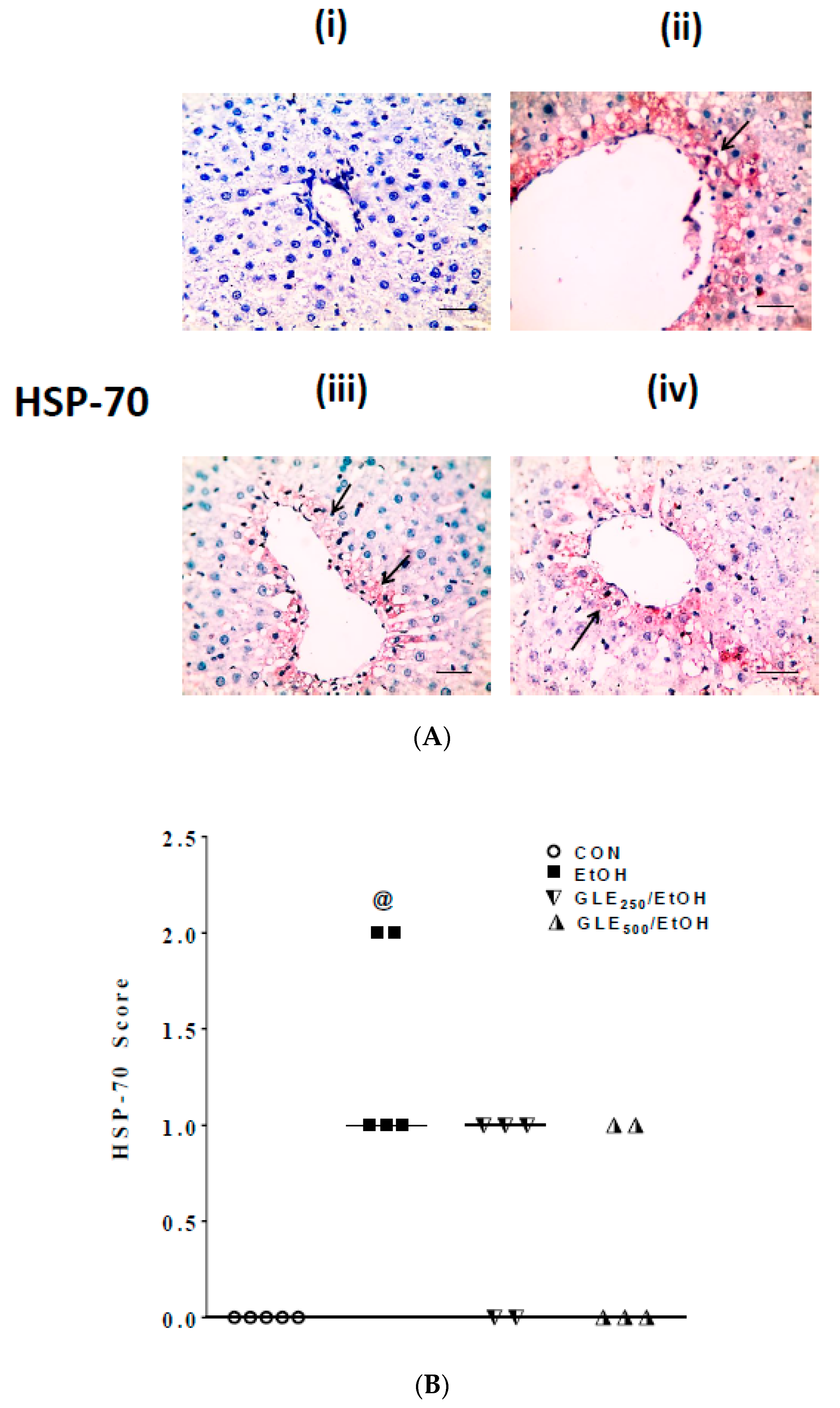 Biomolecules 10 00558 g005 Biomolecules 10 00558 g005
