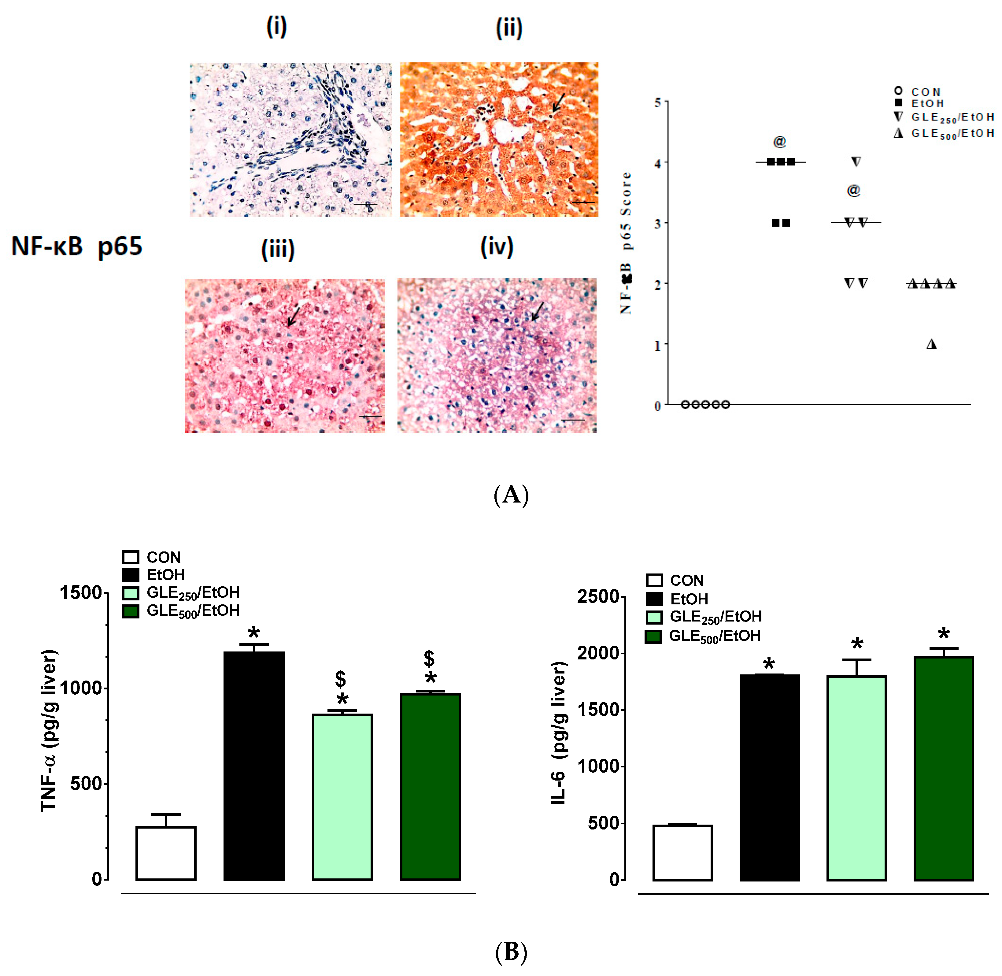 Biomolecules 10 00558 g006 Biomolecules 10 00558 g006