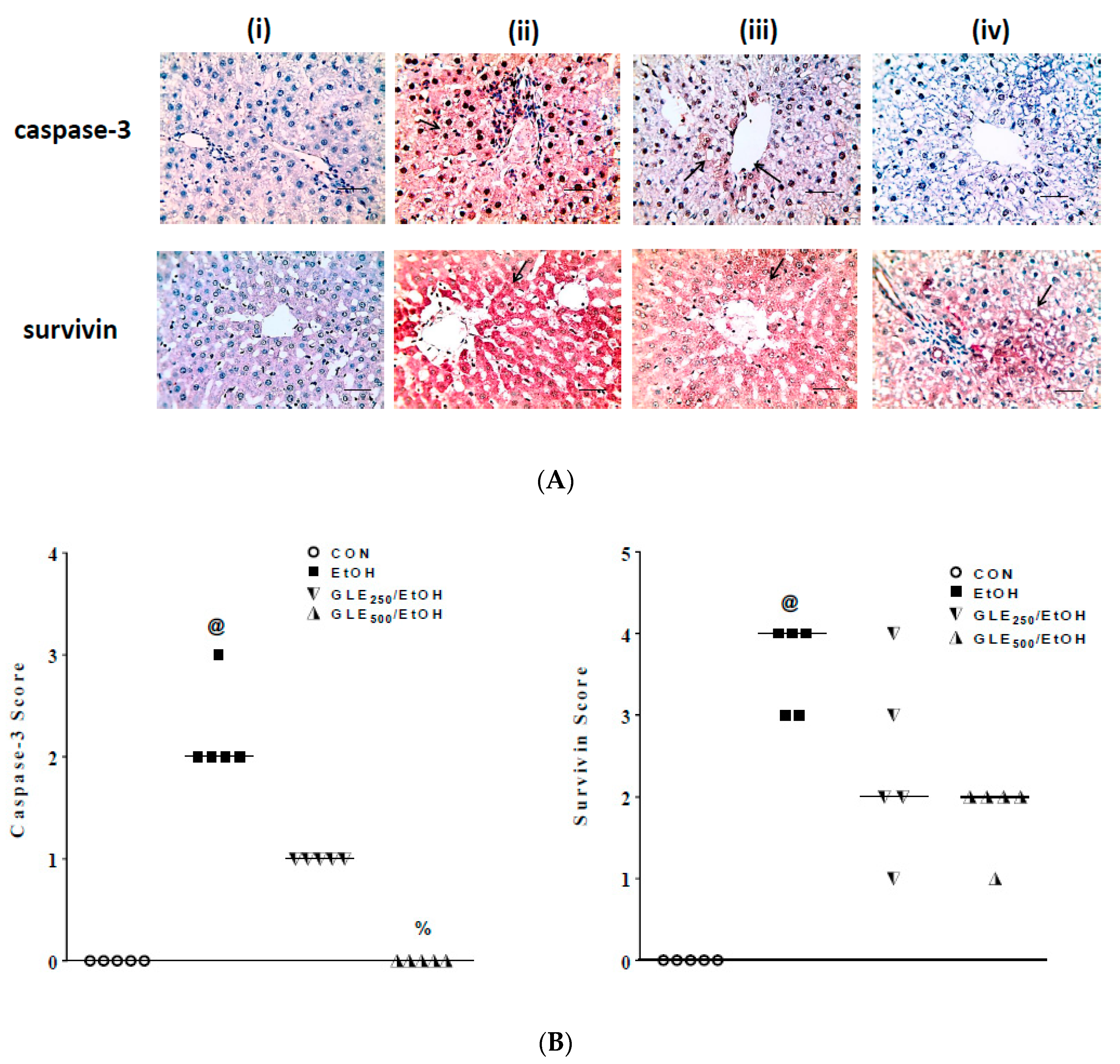 Biomolecules 10 00558 g007 Biomolecules 10 00558 g007
