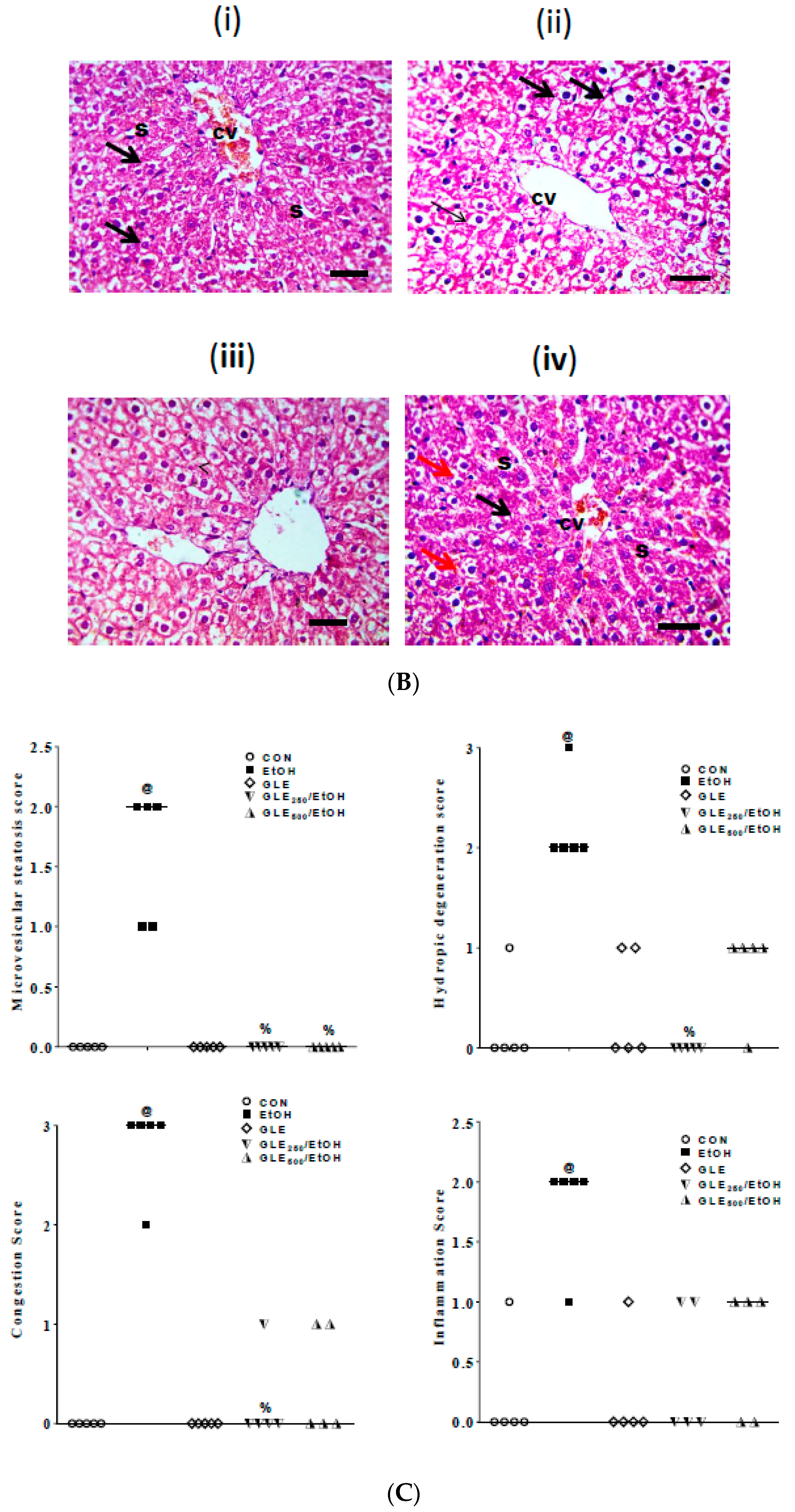 Biomolecules 10 00558 g008b Biomolecules 10 00558 g008b