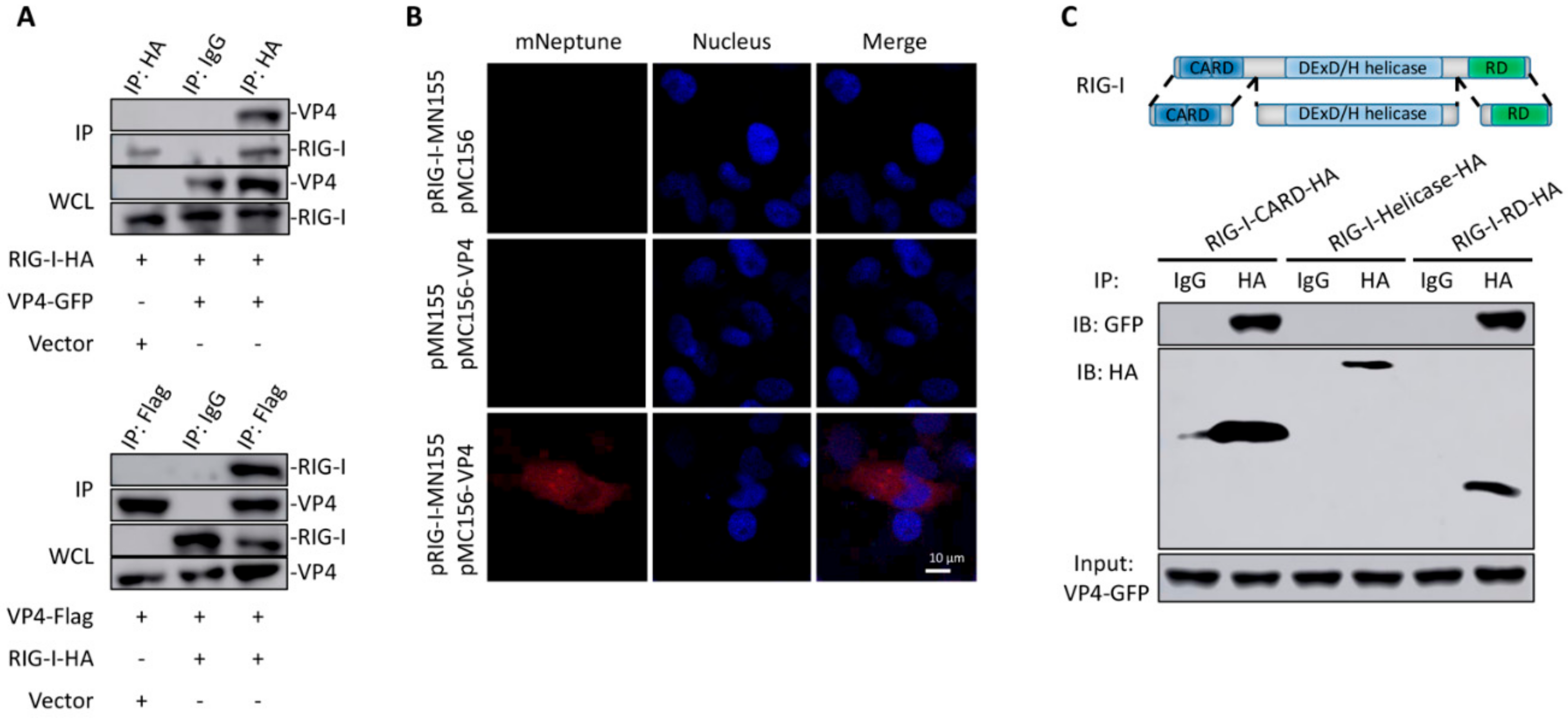 Biomolecules 10 00560 g003