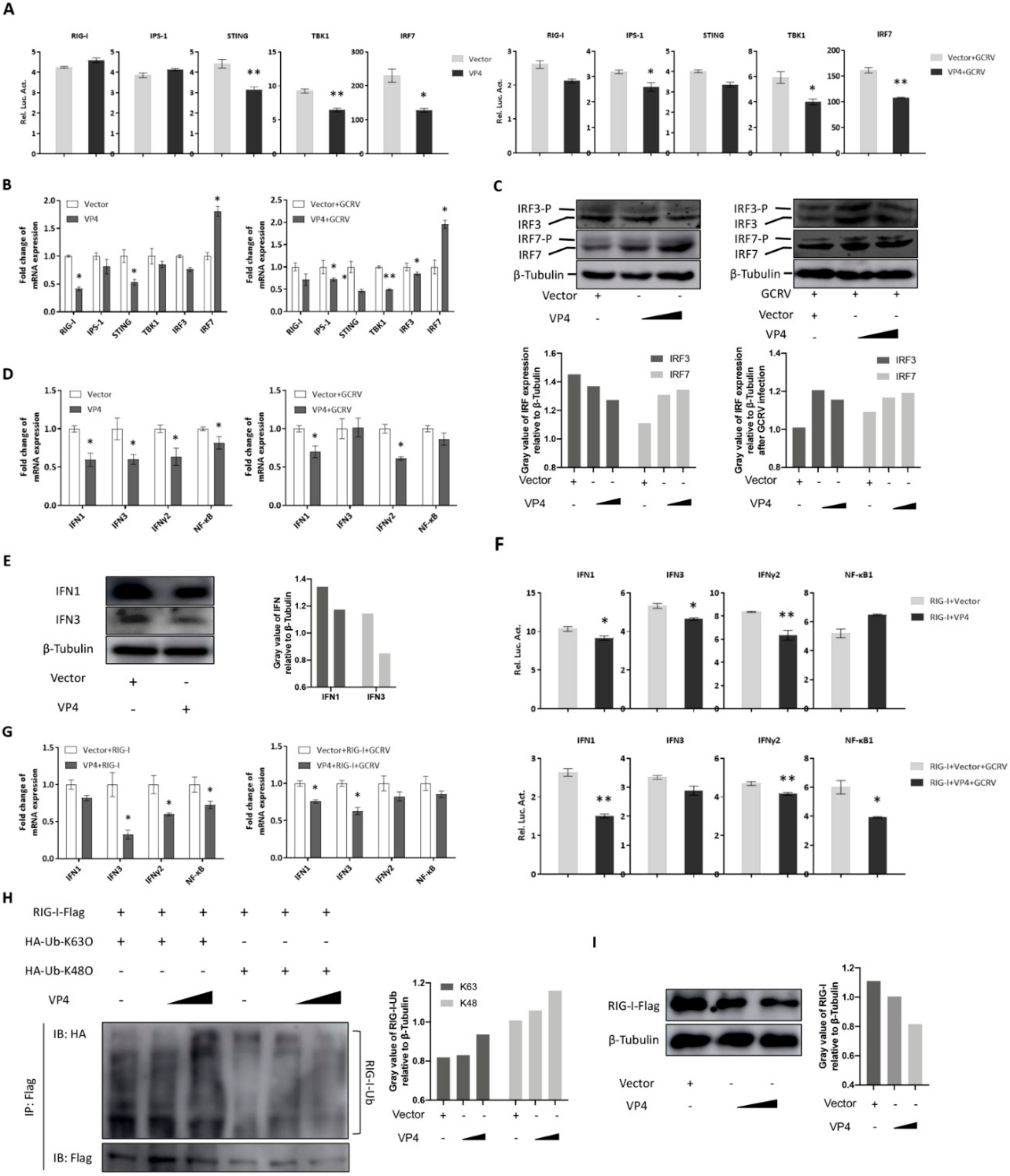 Biomolecules 10 00560 g004