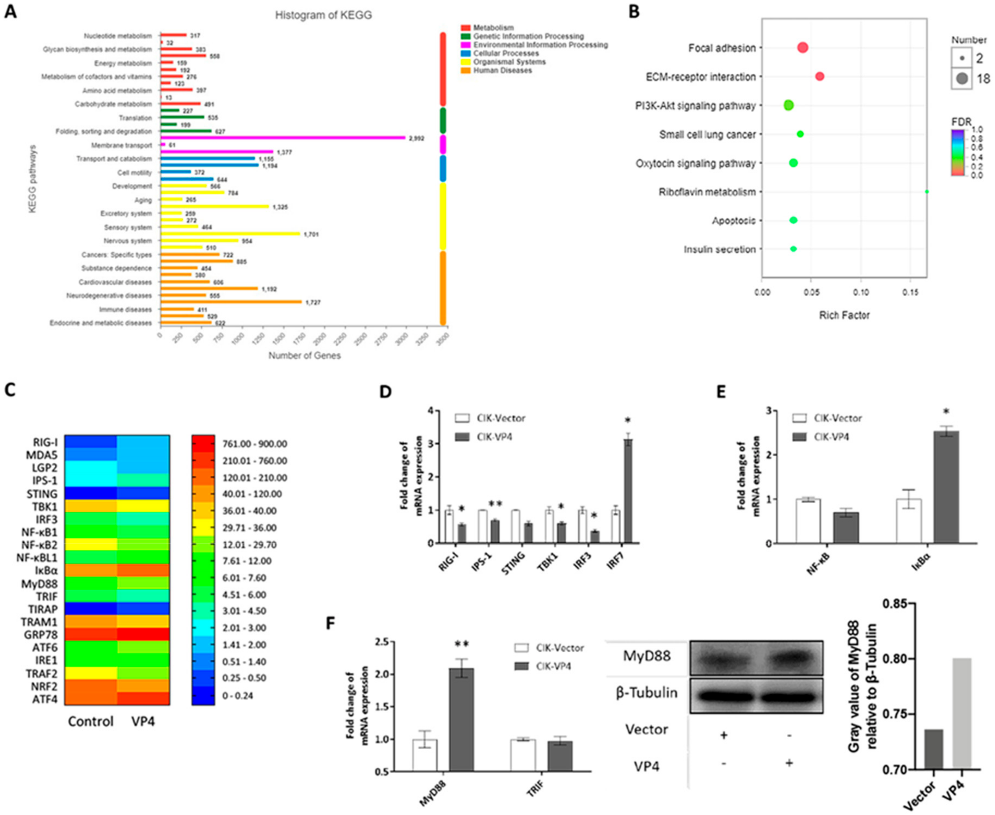 Biomolecules 10 00560 g005