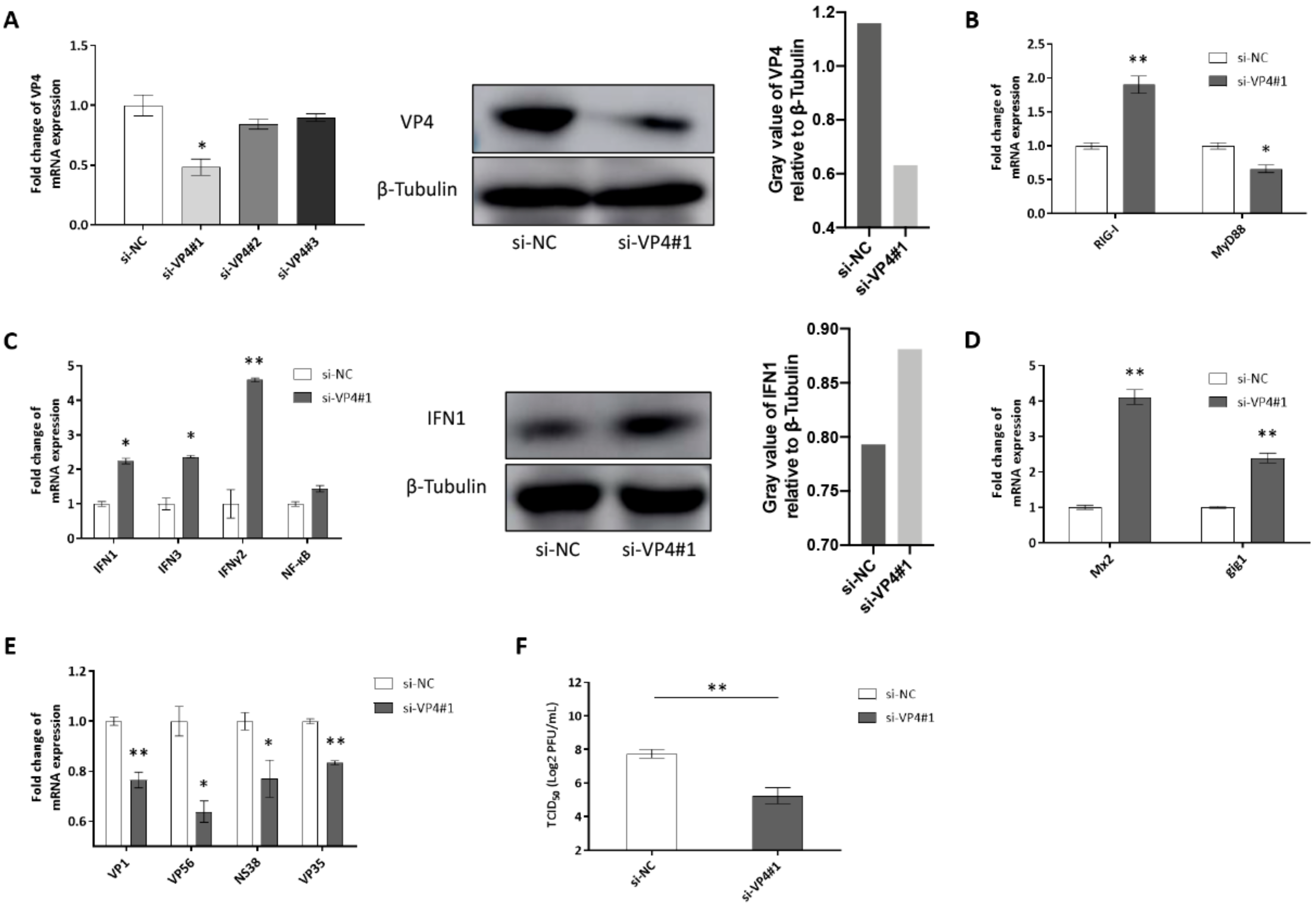 Biomolecules 10 00560 g007