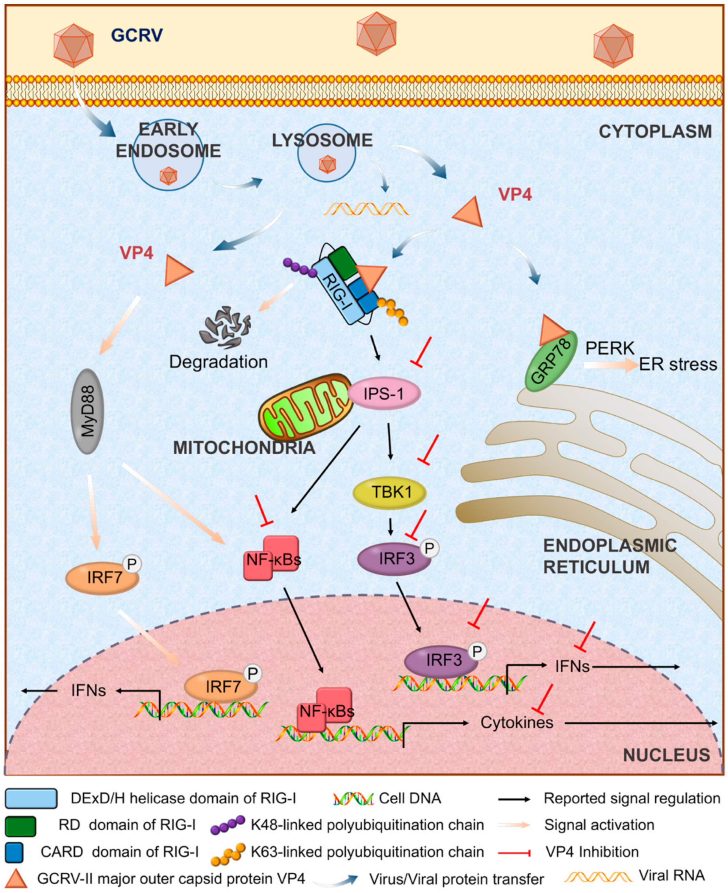 Biomolecules 10 00560 g008