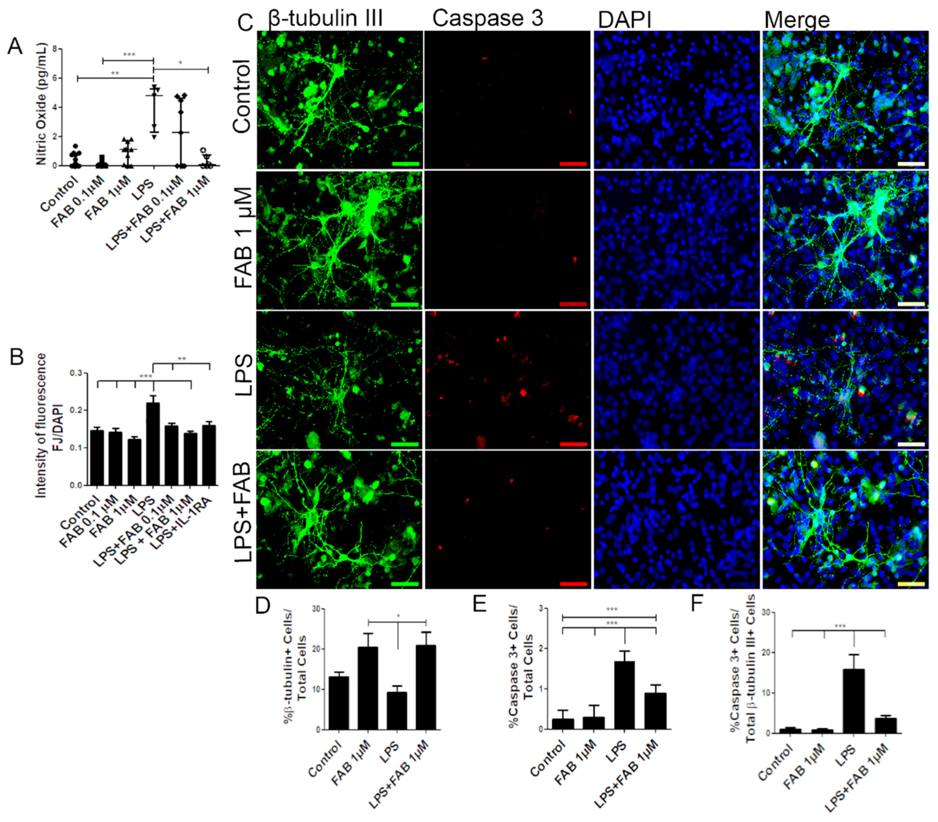 Biomolecules 10 00562 g001 Biomolecules 10 00562 g001