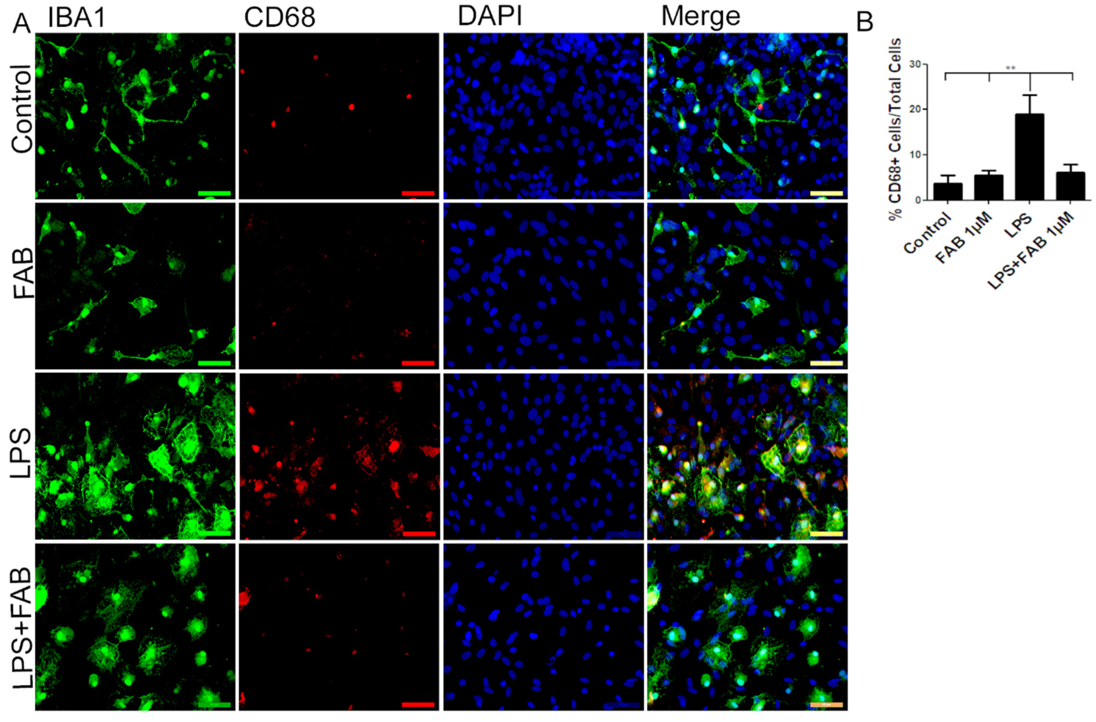 Biomolecules 10 00562 g003 Biomolecules 10 00562 g003