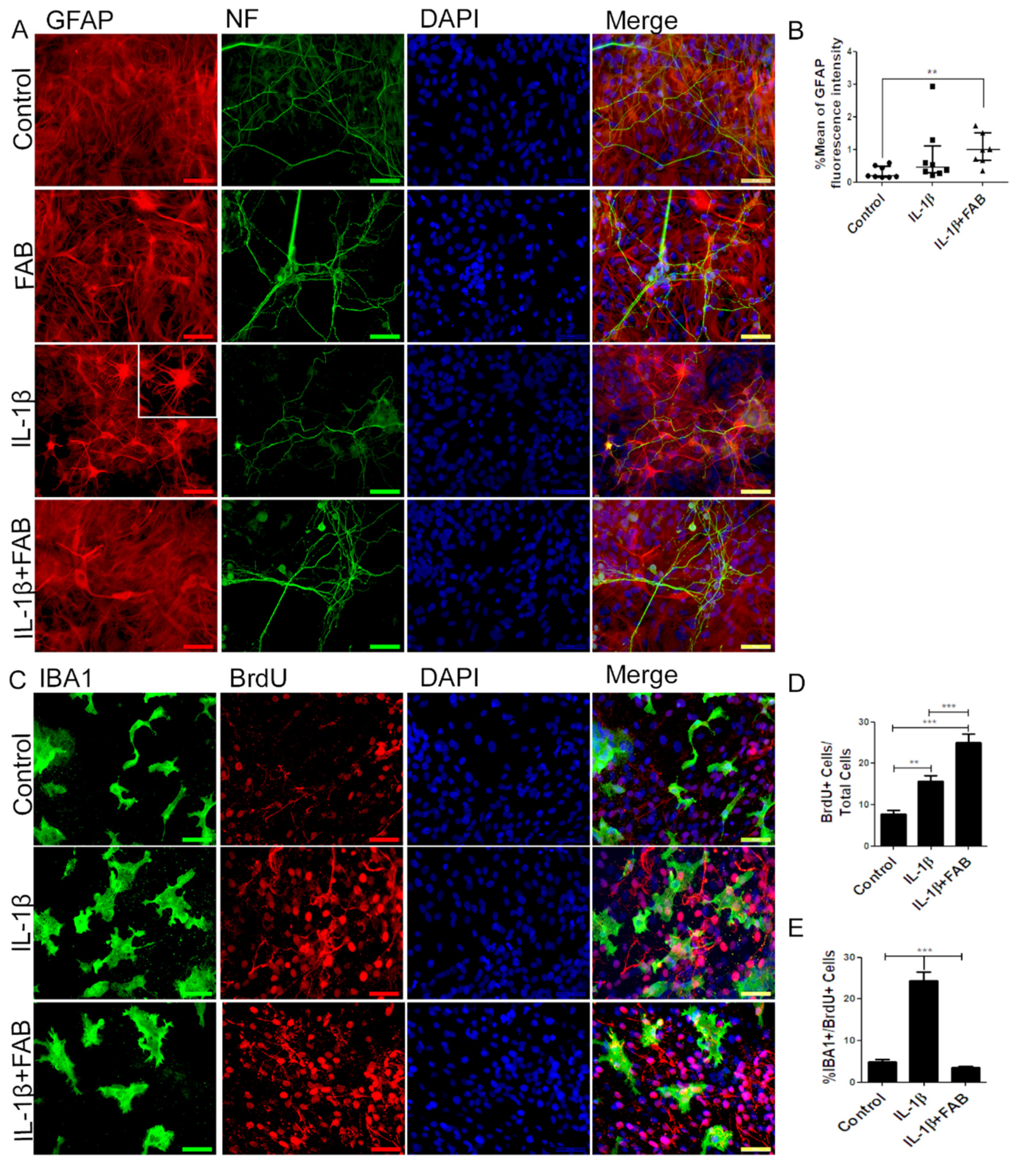 Biomolecules 10 00562 g005 Biomolecules 10 00562 g005