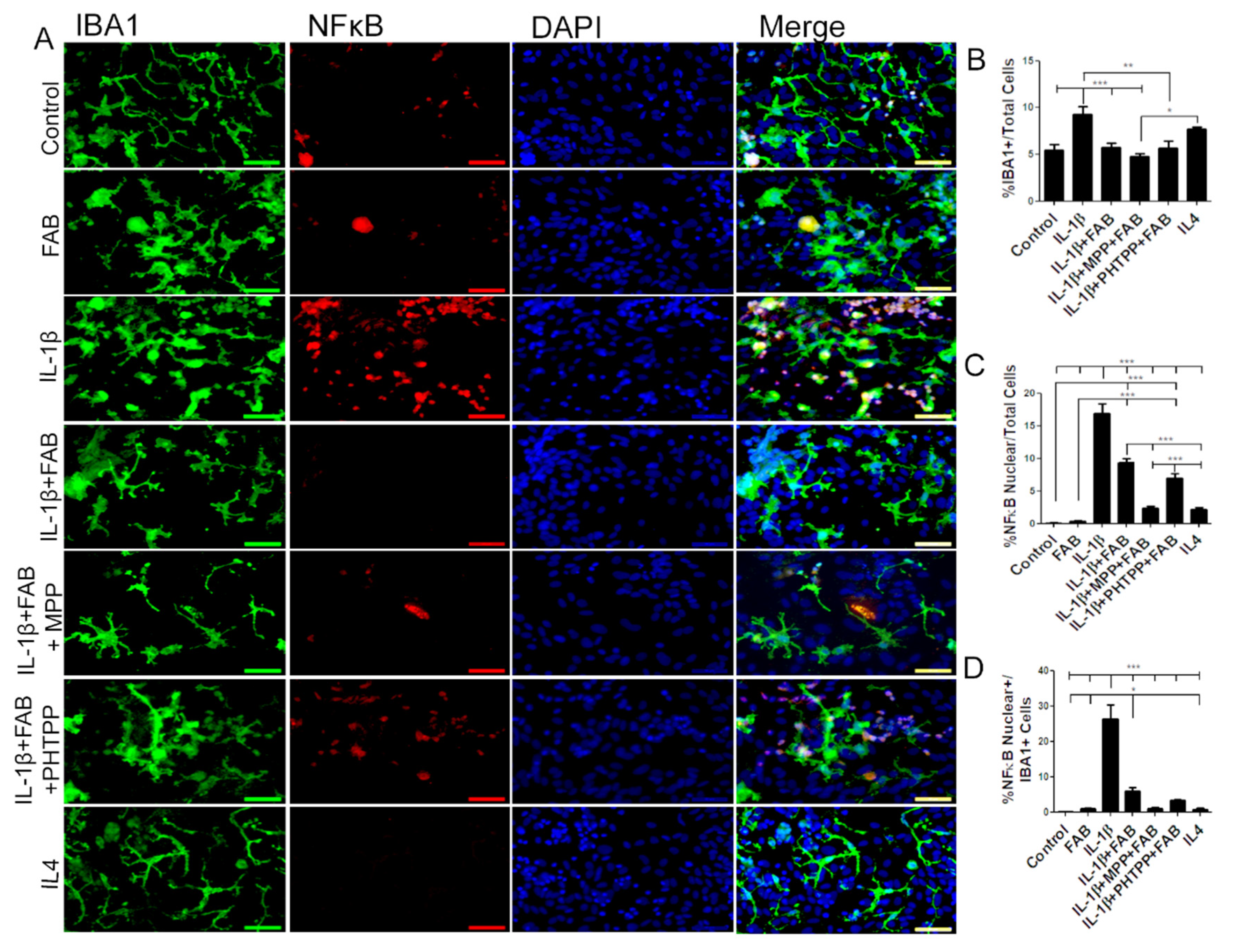 Biomolecules 10 00562 g006 Biomolecules 10 00562 g006