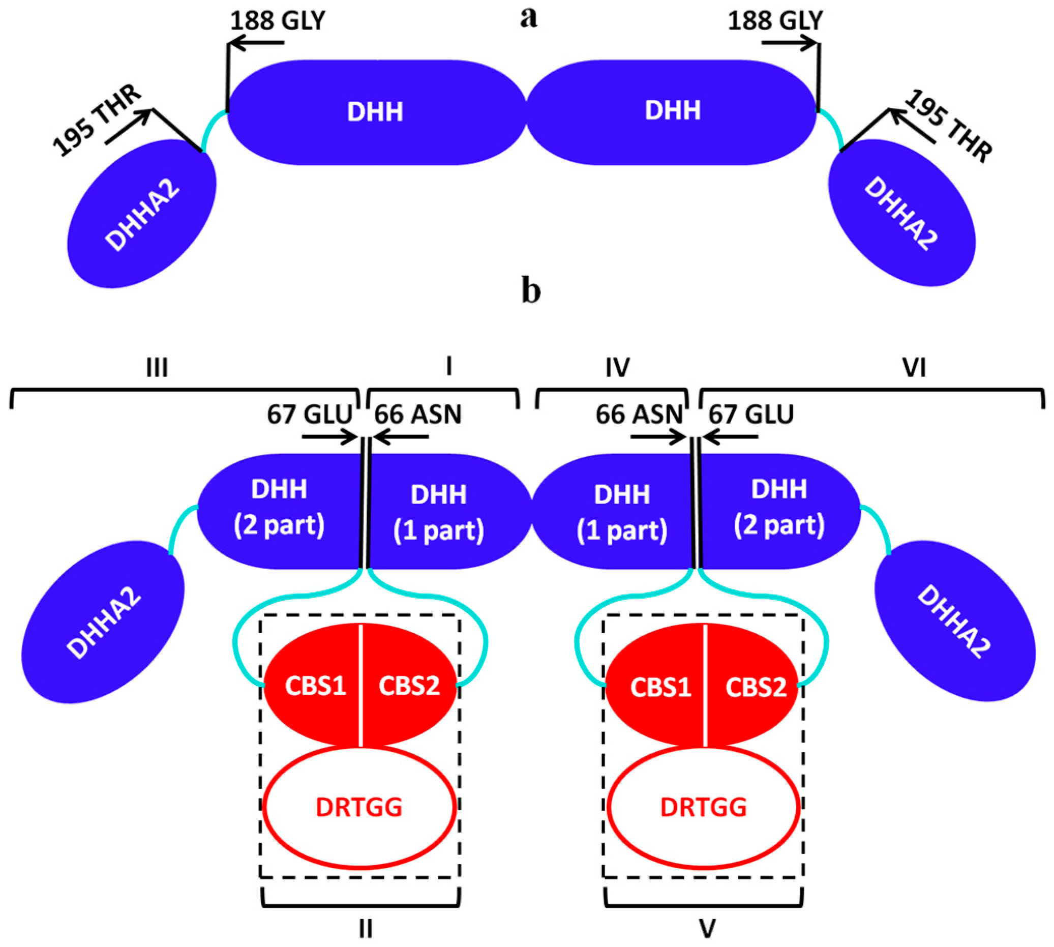 Biomolecules 10 00564 g003