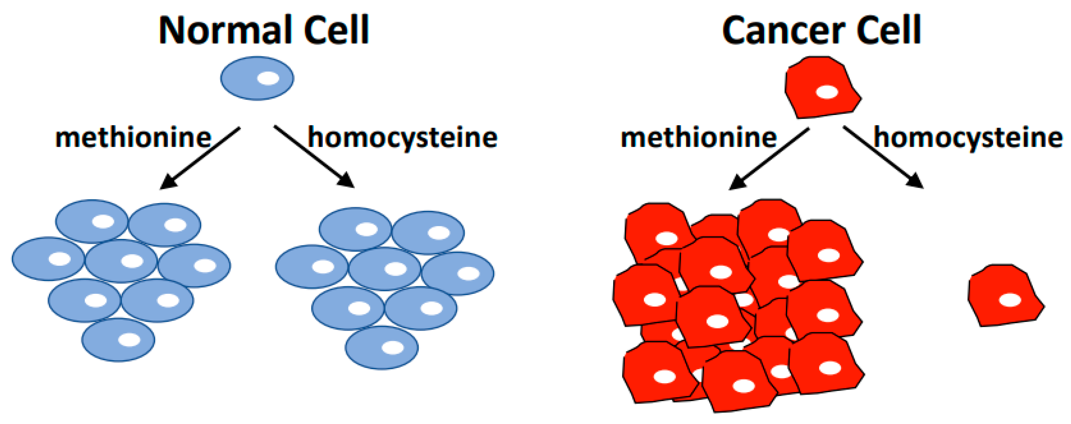 Biomolecules 10 00568 g001 Biomolecules 10 00568 g001
