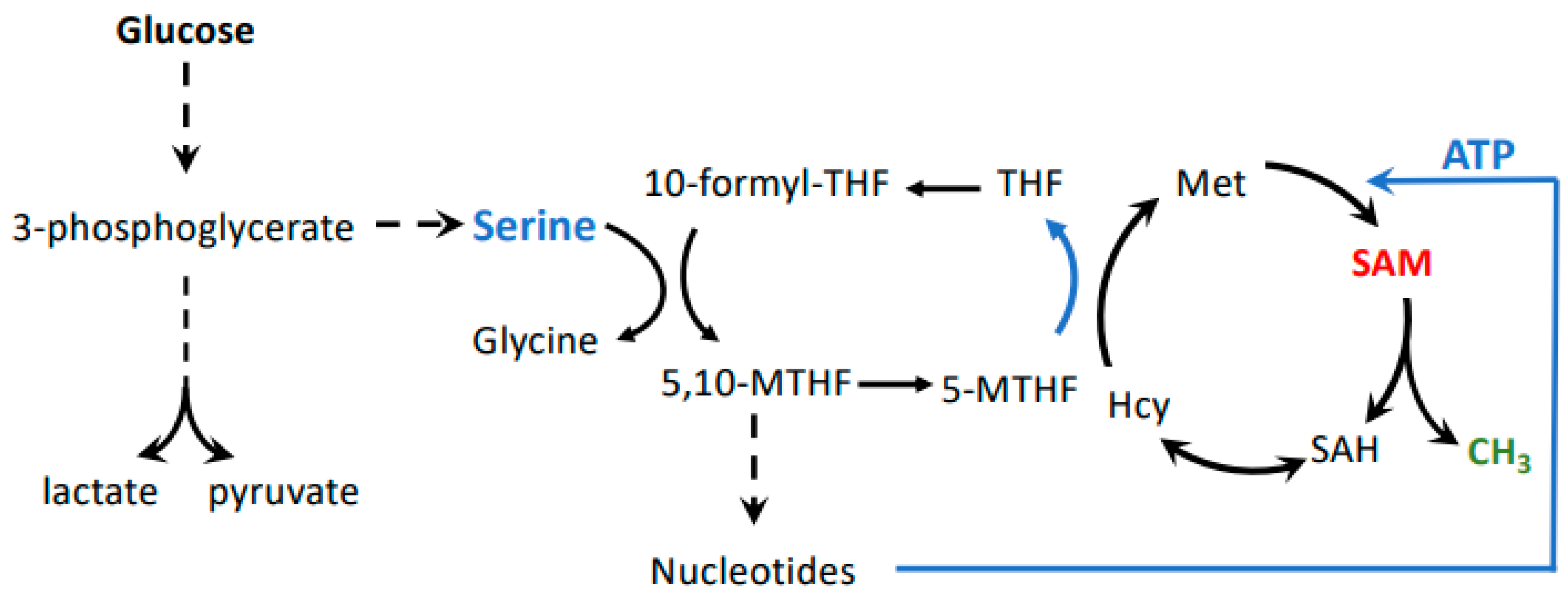 Biomolecules 10 00568 g003 Biomolecules 10 00568 g003