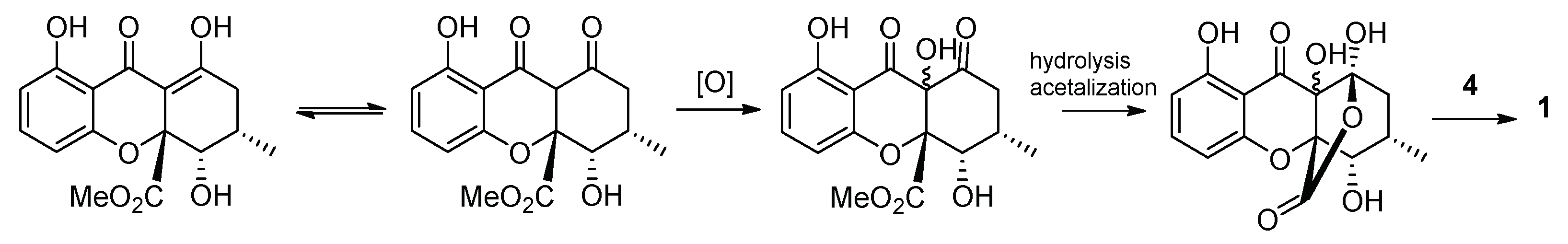 Biomolecules 10 00569 g006