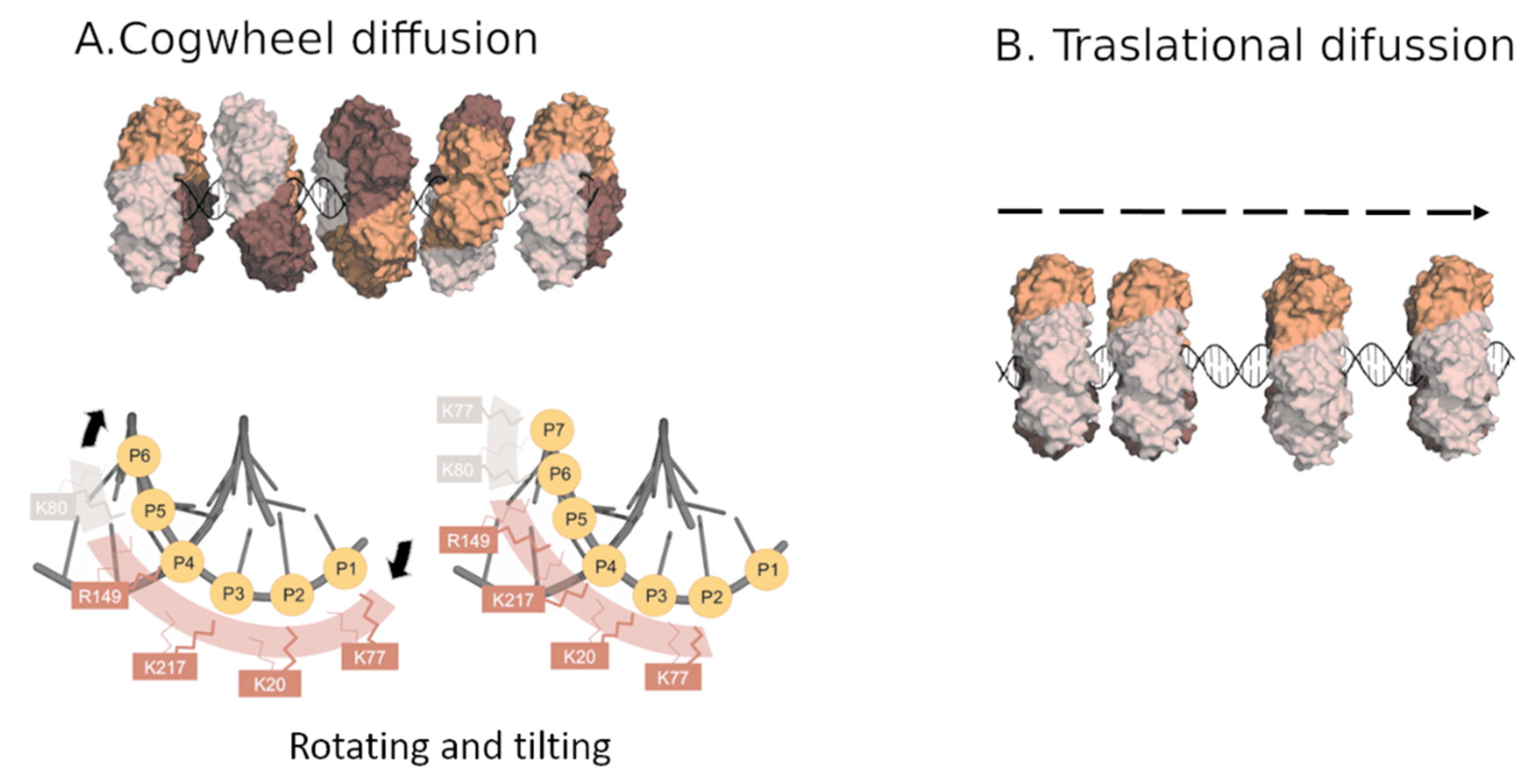 Biomolecules 10 00570 g003 Biomolecules 10 00570 g003