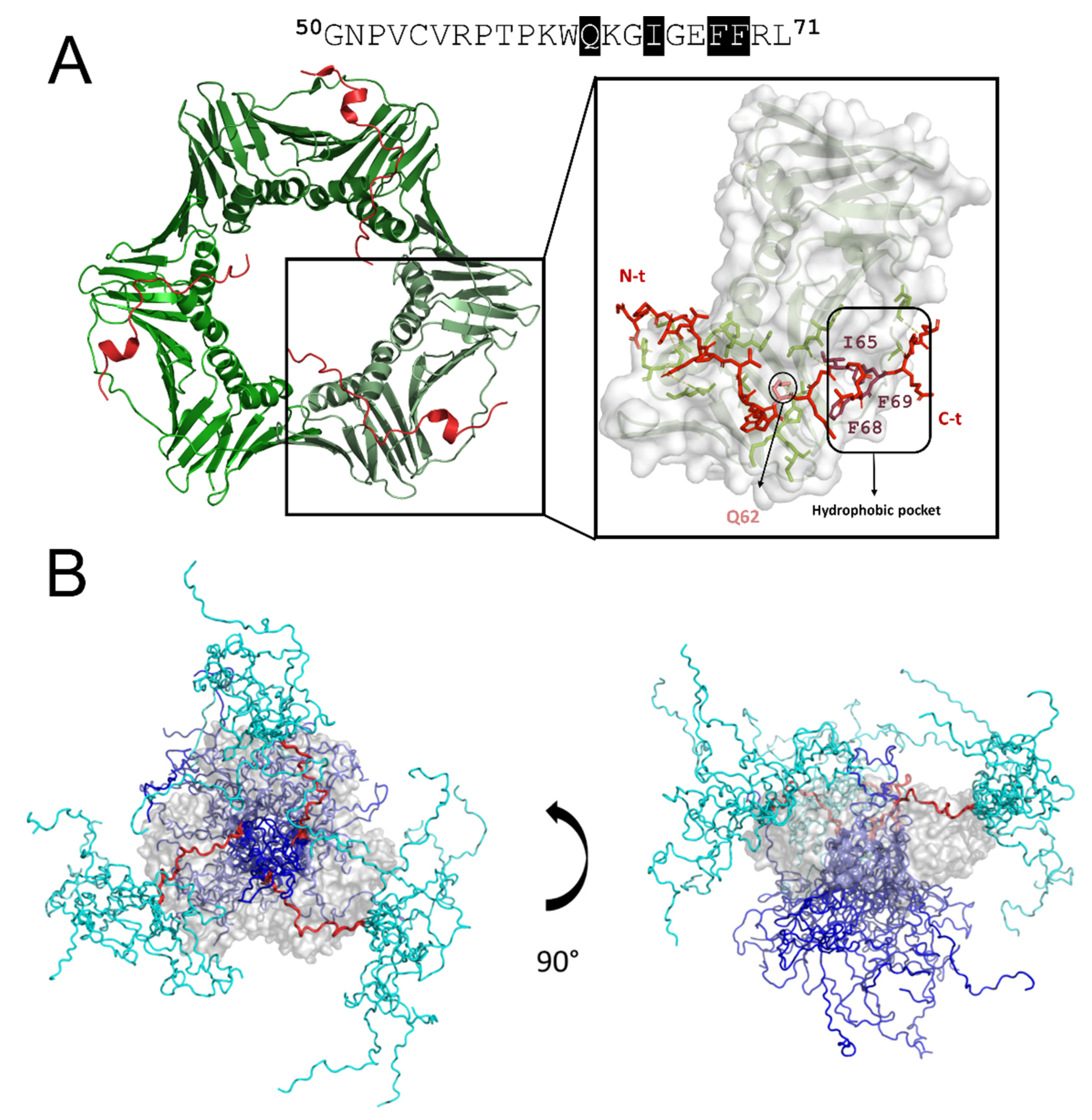 Biomolecules 10 00570 g004 Biomolecules 10 00570 g004