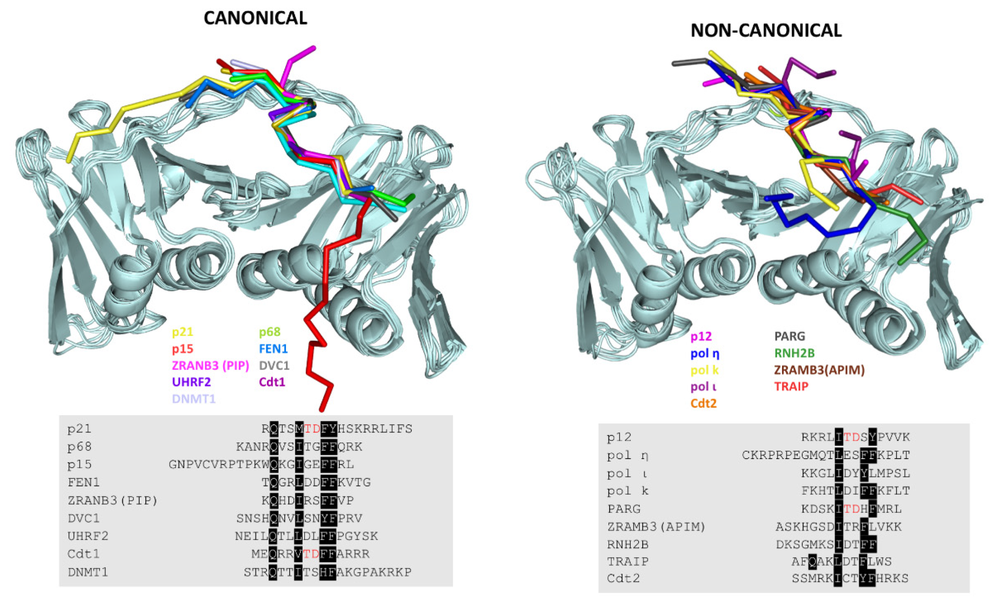 Biomolecules 10 00570 g005 Biomolecules 10 00570 g005