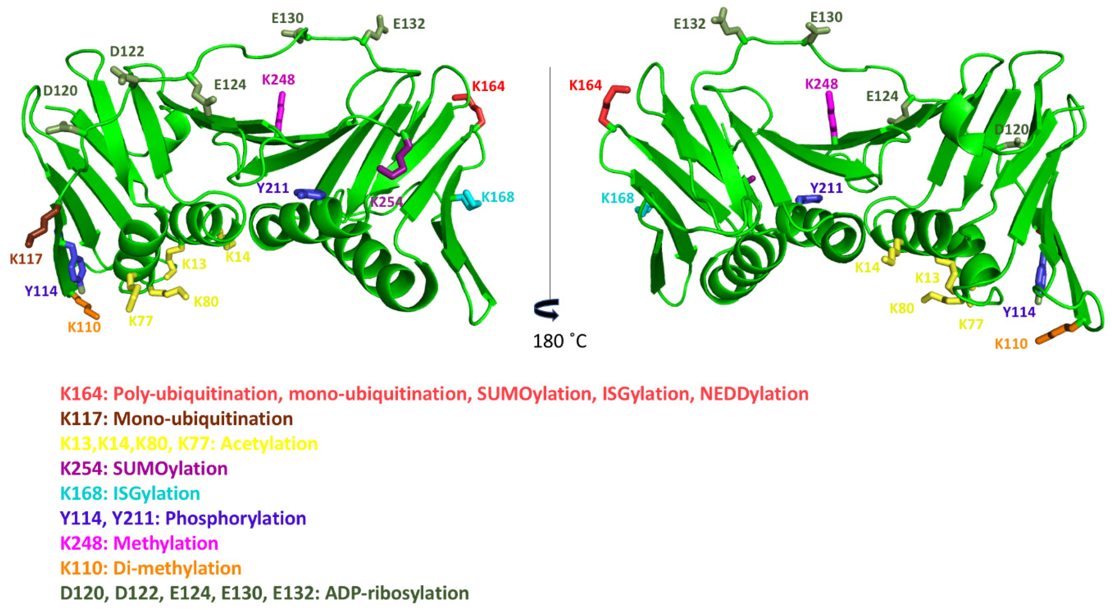 Biomolecules 10 00570 g006 Biomolecules 10 00570 g006