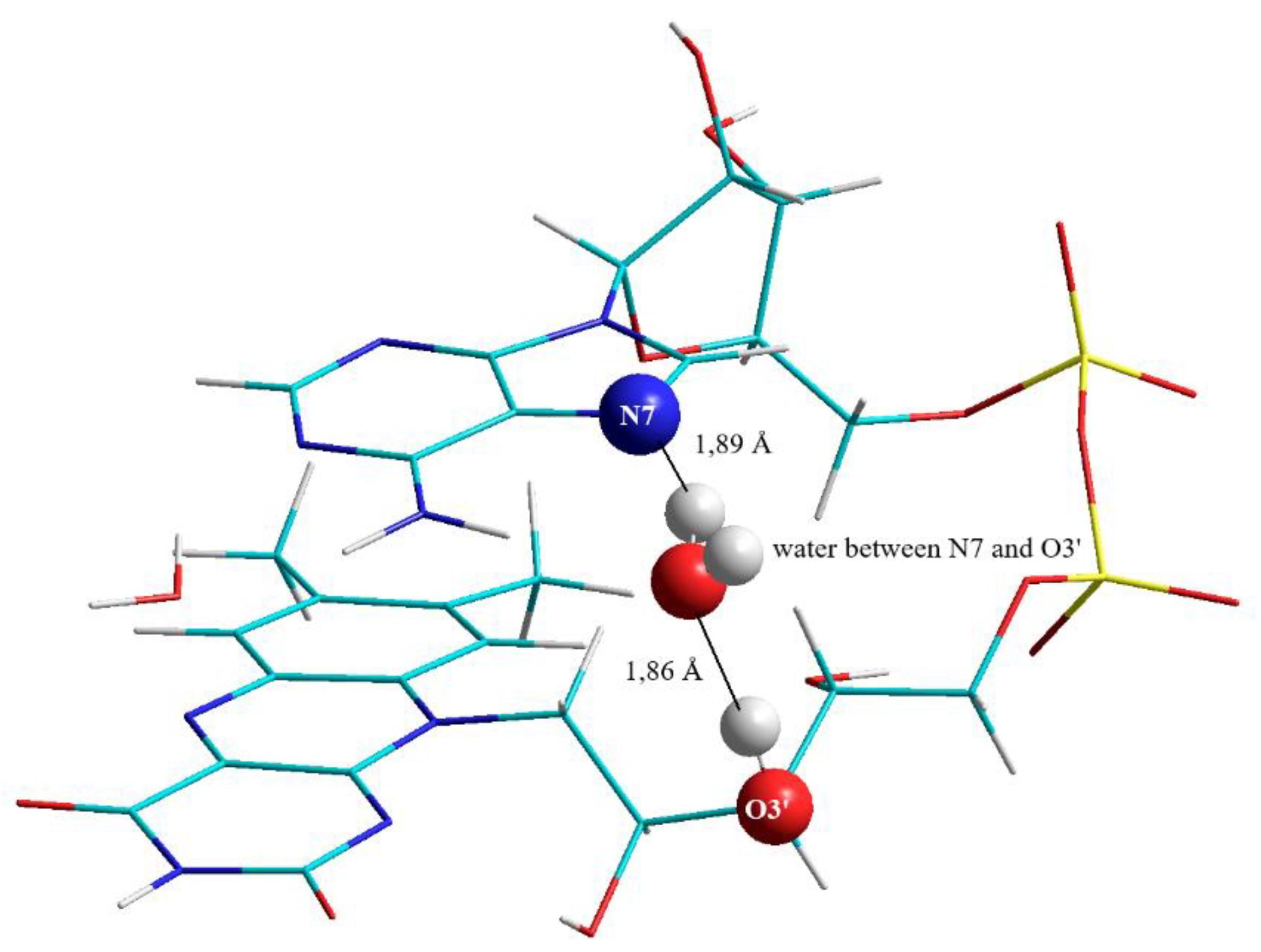 Biomolecules 10 00573 g003 Biomolecules 10 00573 g003