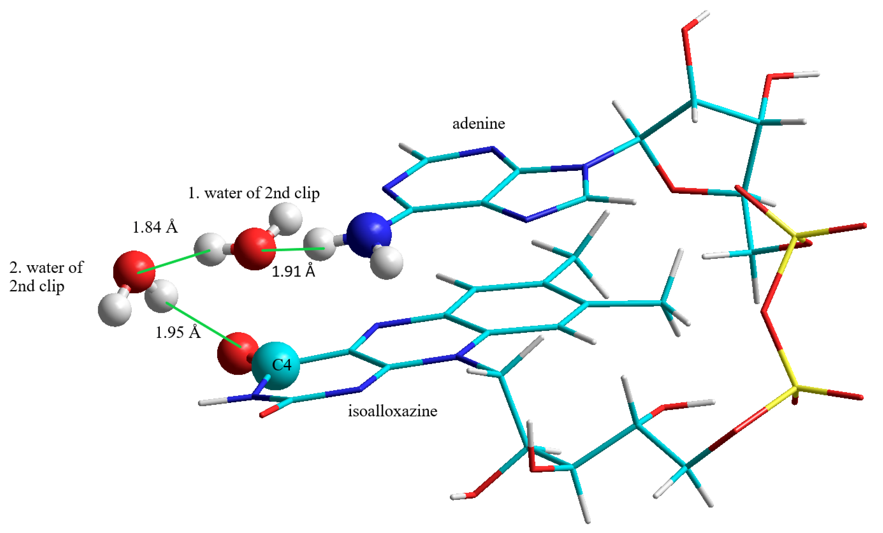 Biomolecules 10 00573 g004 Biomolecules 10 00573 g004