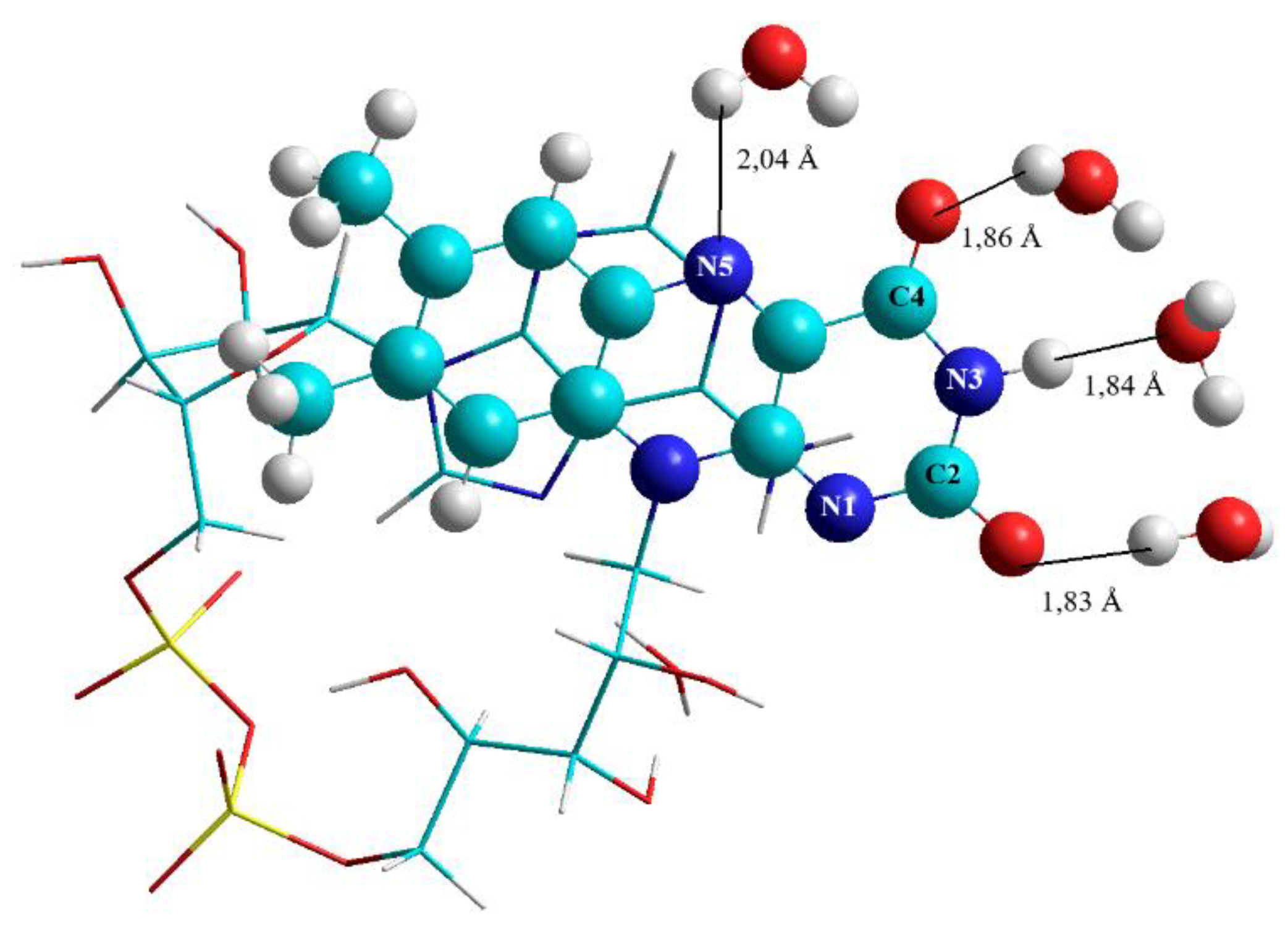 Biomolecules 10 00573 g005 Biomolecules 10 00573 g005