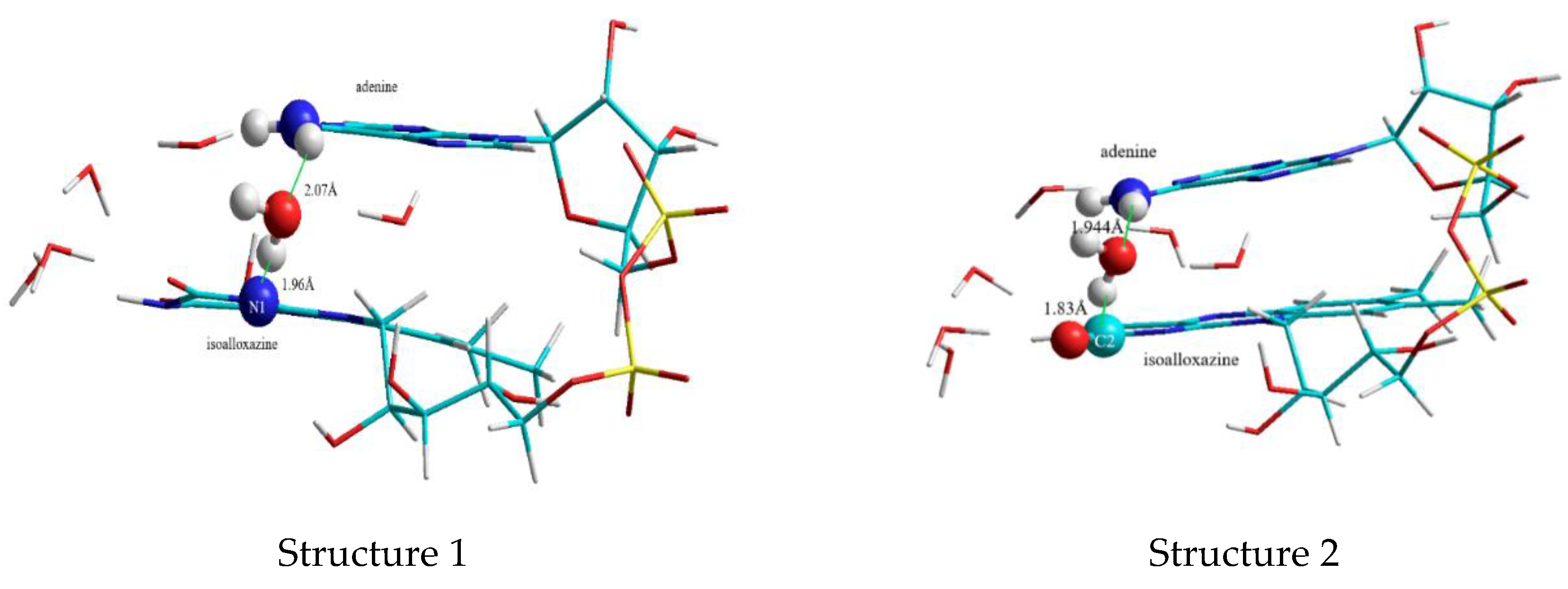 Biomolecules 10 00573 g006 Biomolecules 10 00573 g006