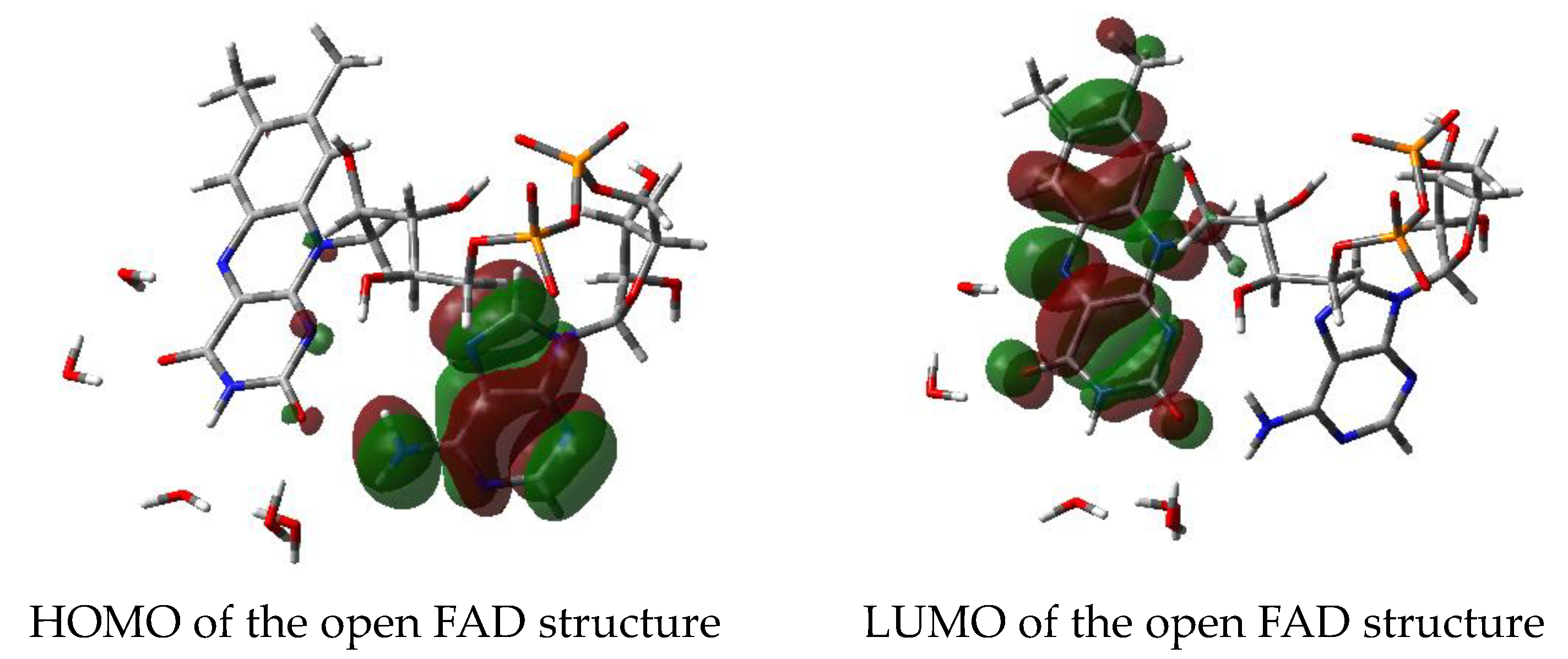 Biomolecules 10 00573 g011 Biomolecules 10 00573 g011