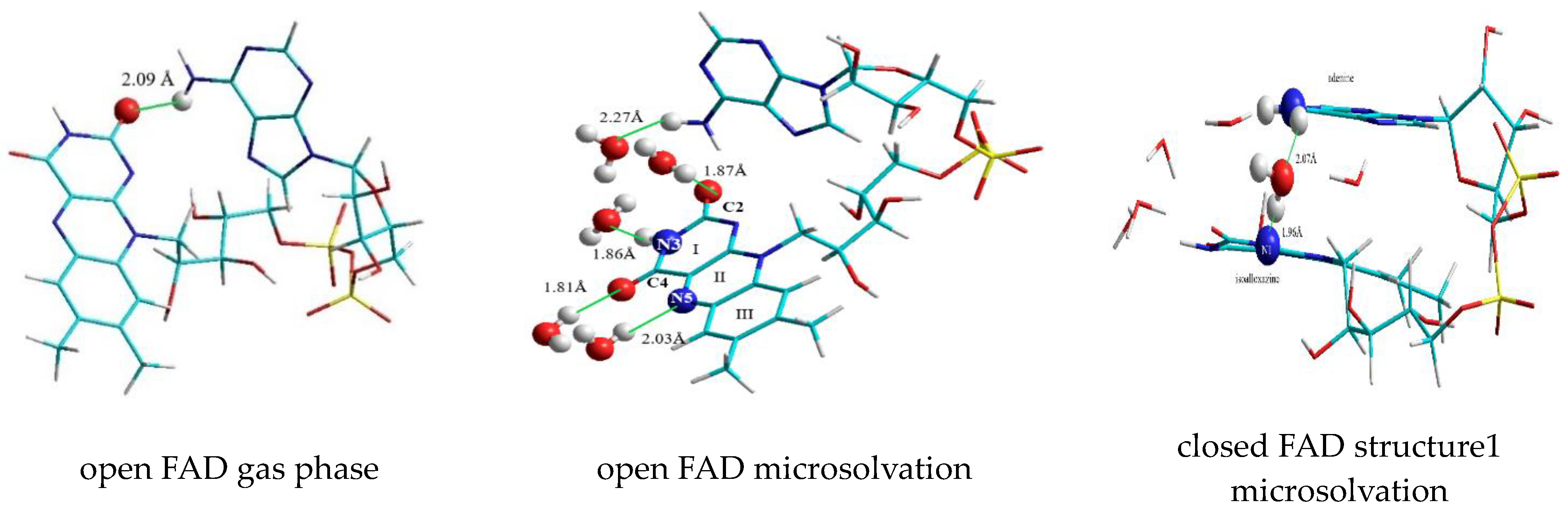 Biomolecules 10 00573 g014 Biomolecules 10 00573 g014