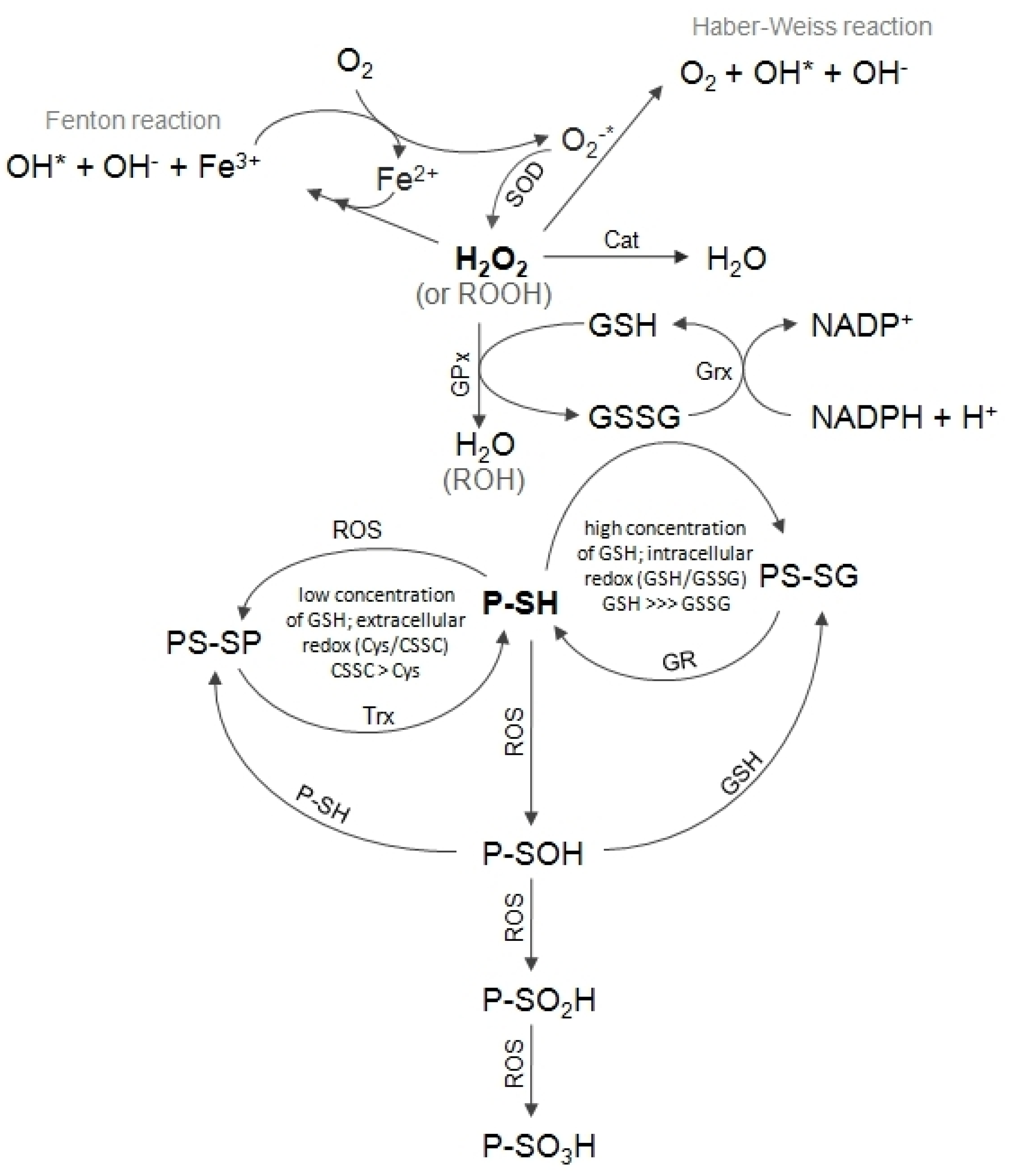 Biomolecules 10 00574 g001
