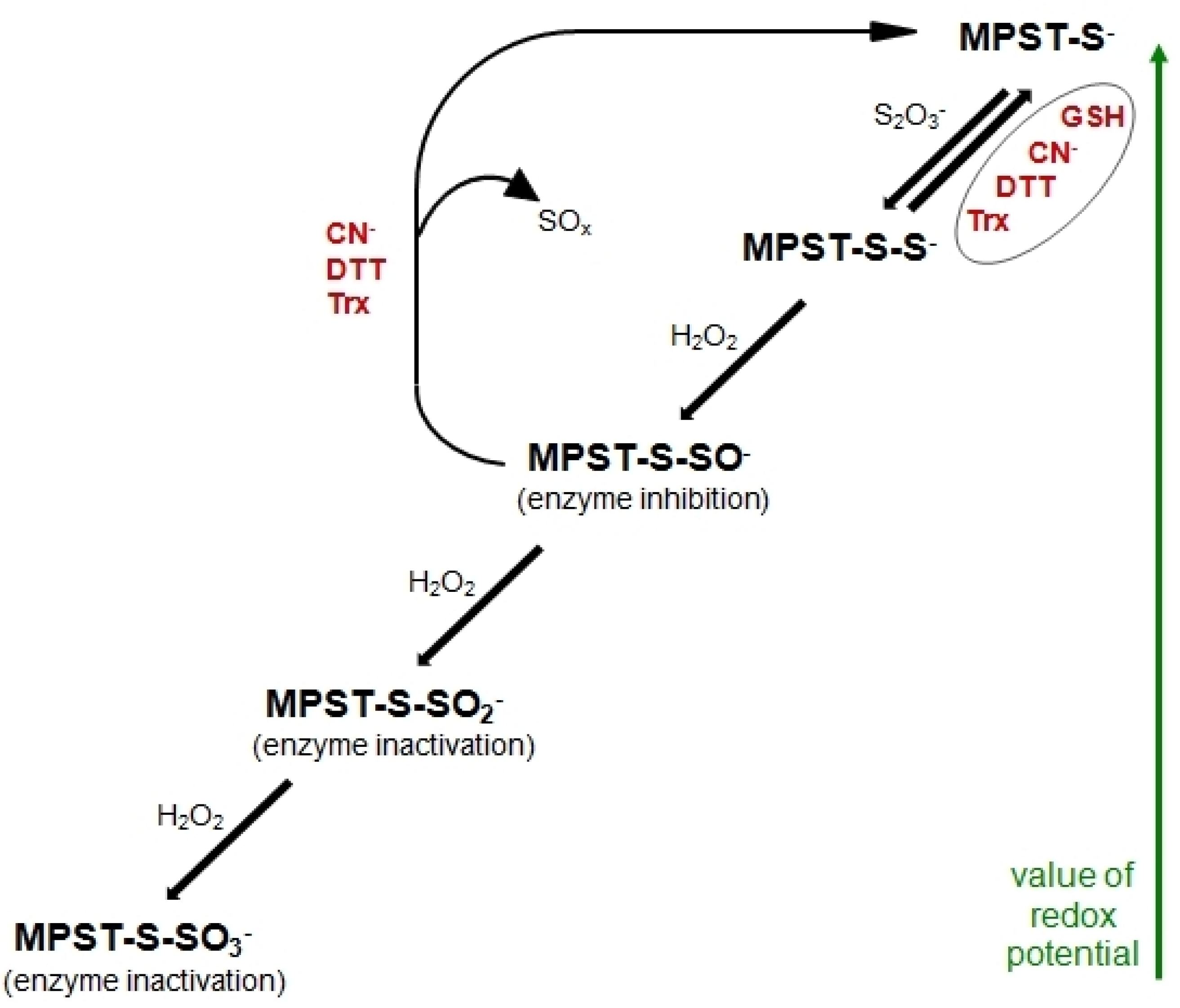 Biomolecules 10 00574 g003