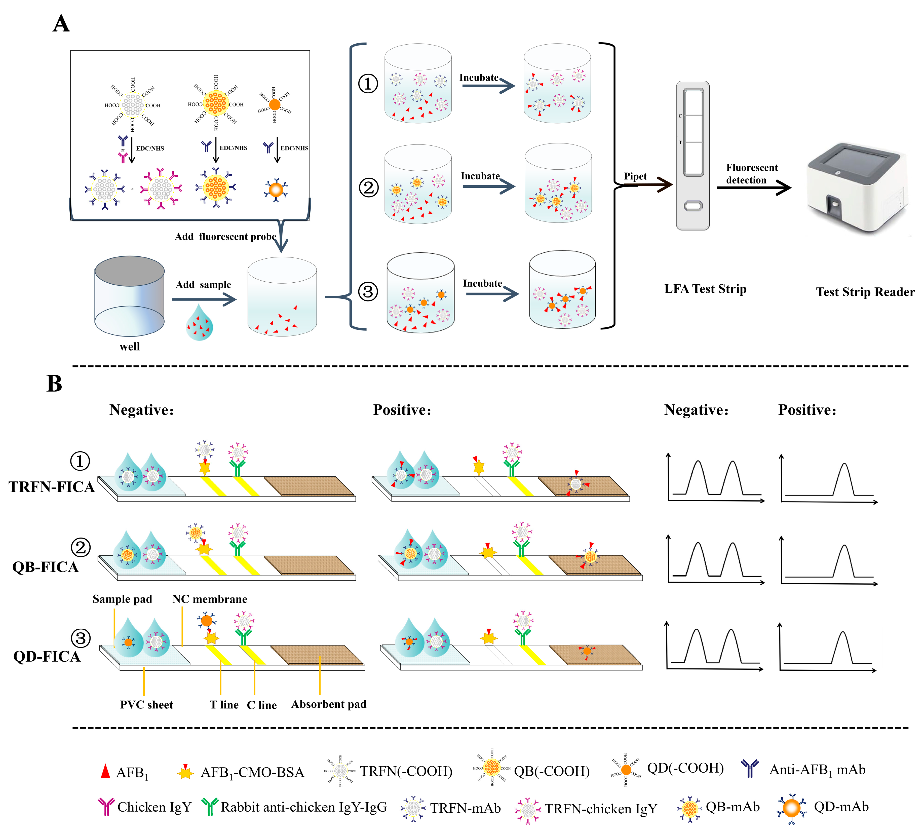 Biomolecules 10 00575 g001