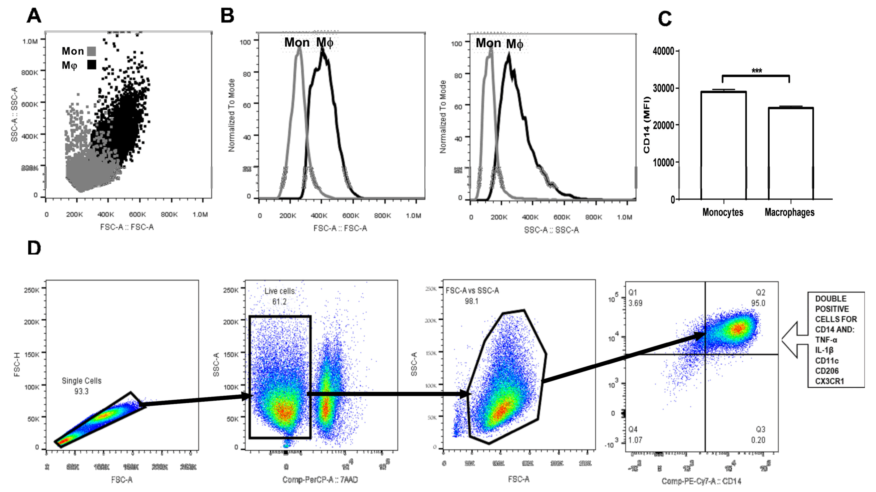 Biomolecules 10 00576 g001 Biomolecules 10 00576 g001