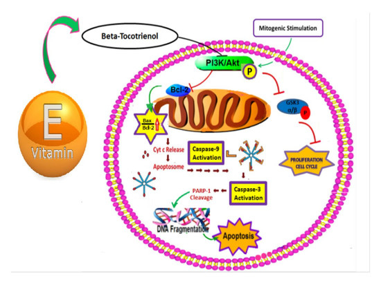 Biomolecules | Special Issue : Biomolecules and Cancer Prevention