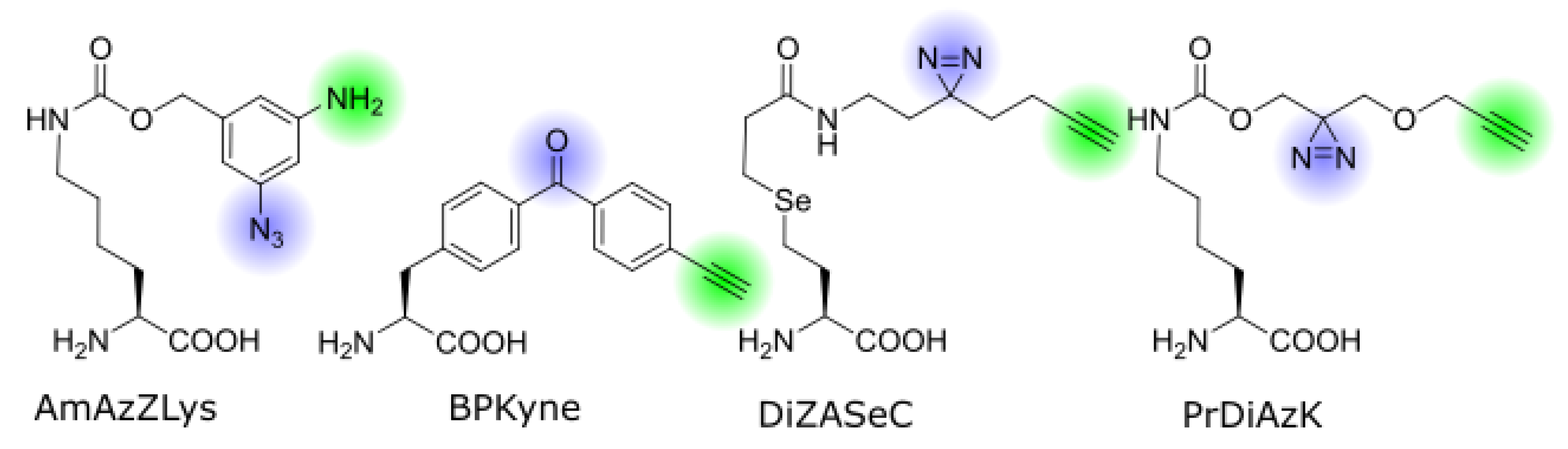Biomolecules 10 00578 g002