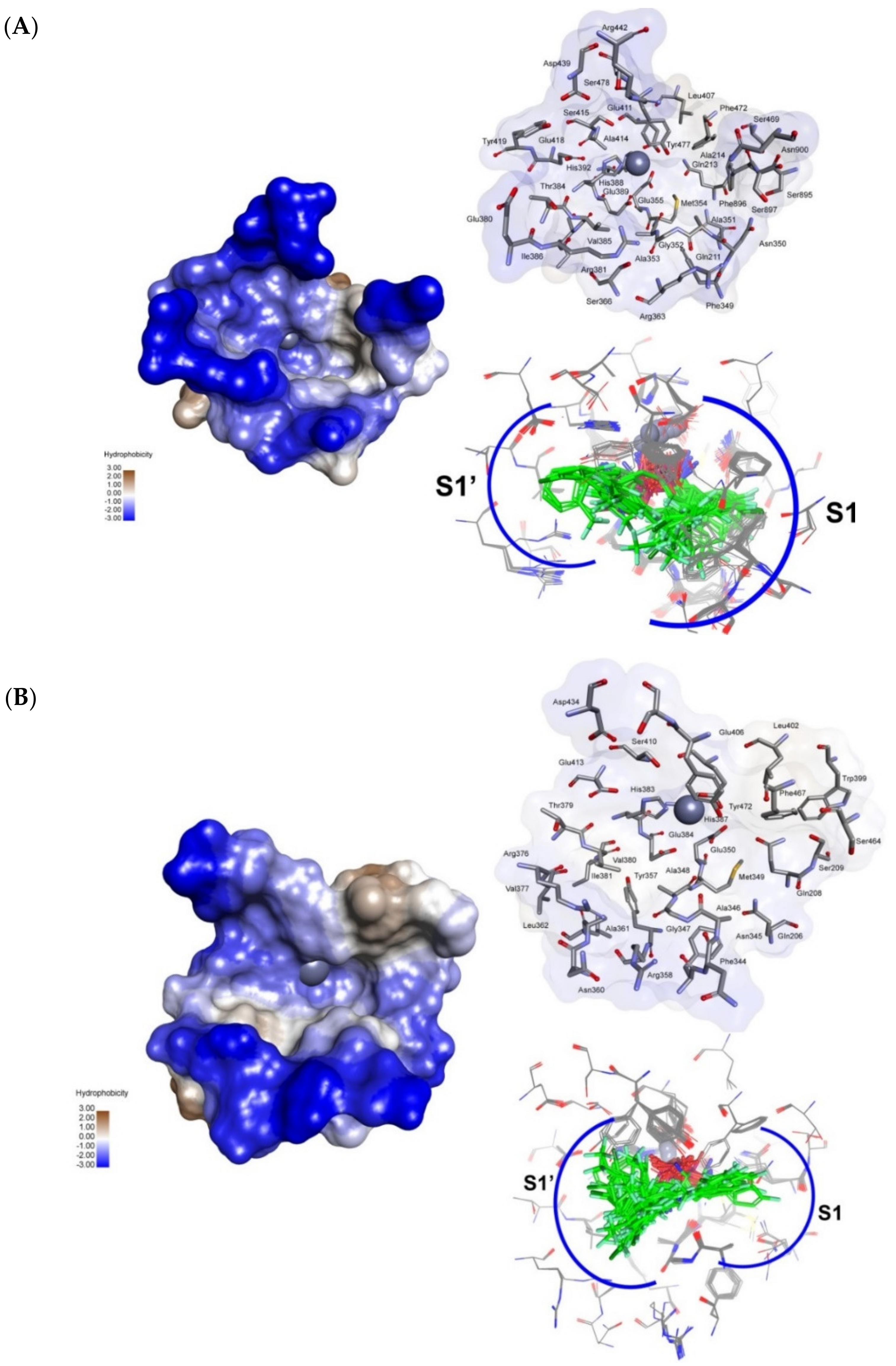 Biomolecules 10 00579 g001 Biomolecules 10 00579 g001