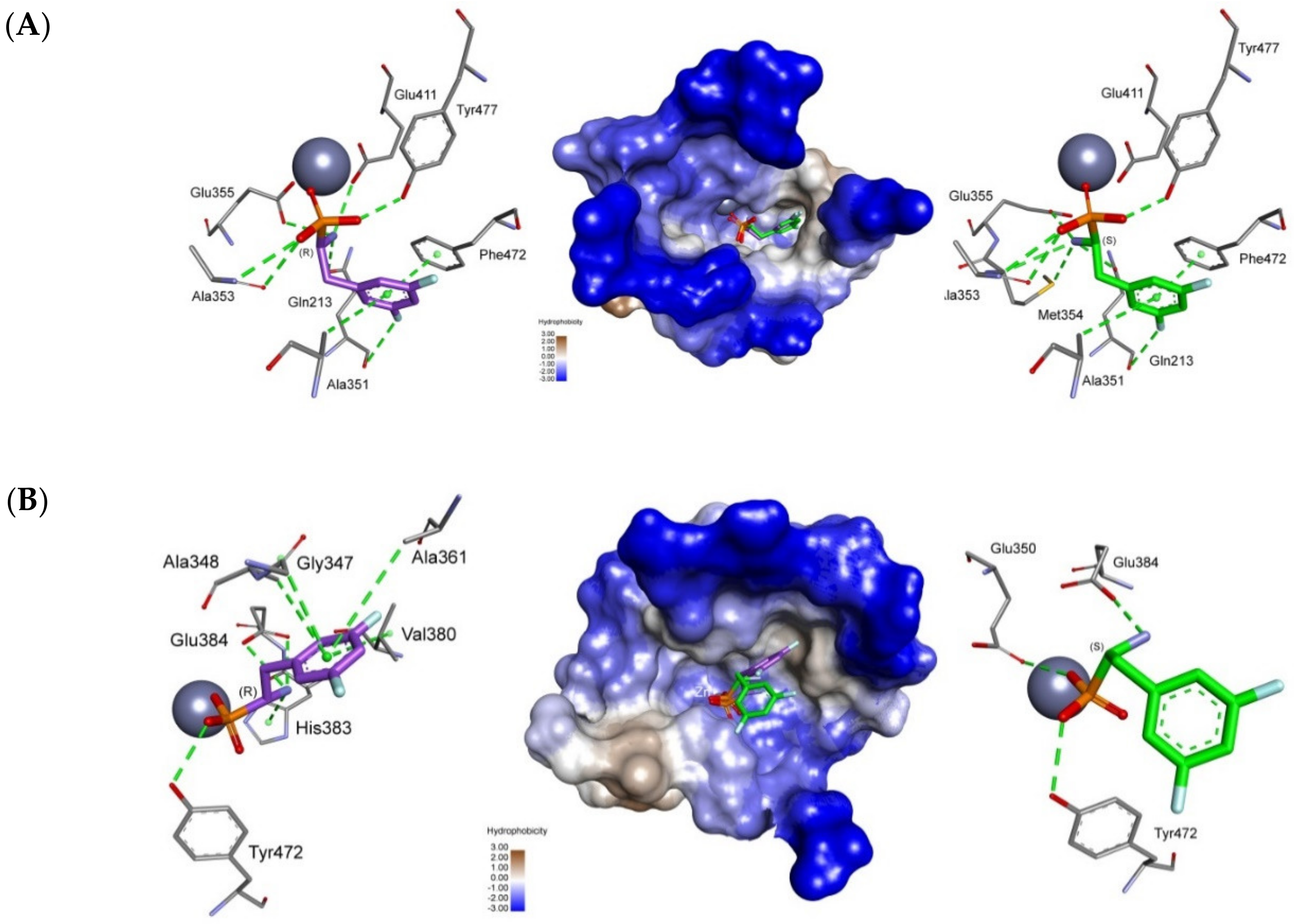 Biomolecules 10 00579 g002 Biomolecules 10 00579 g002