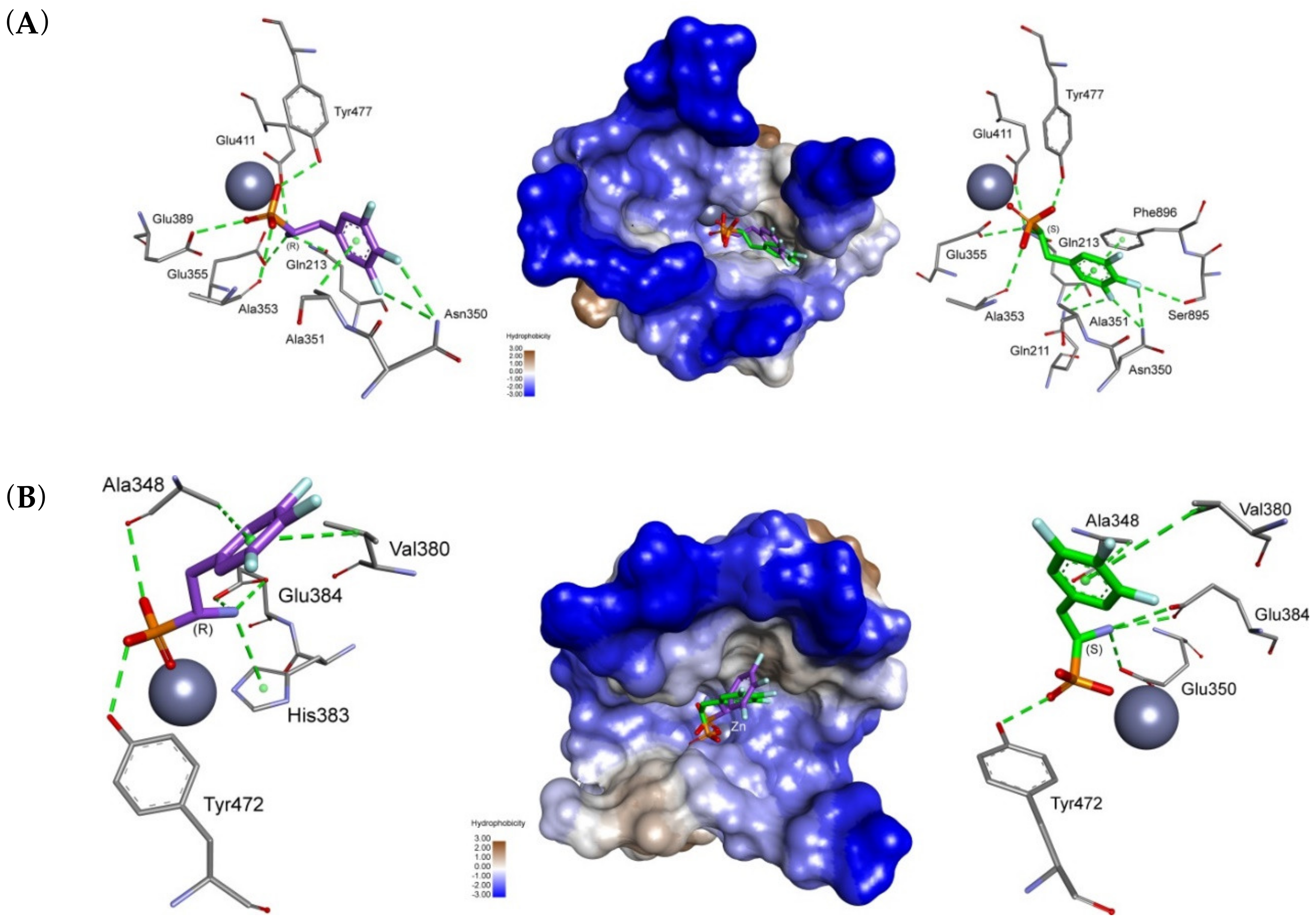 Biomolecules 10 00579 g003 Biomolecules 10 00579 g003